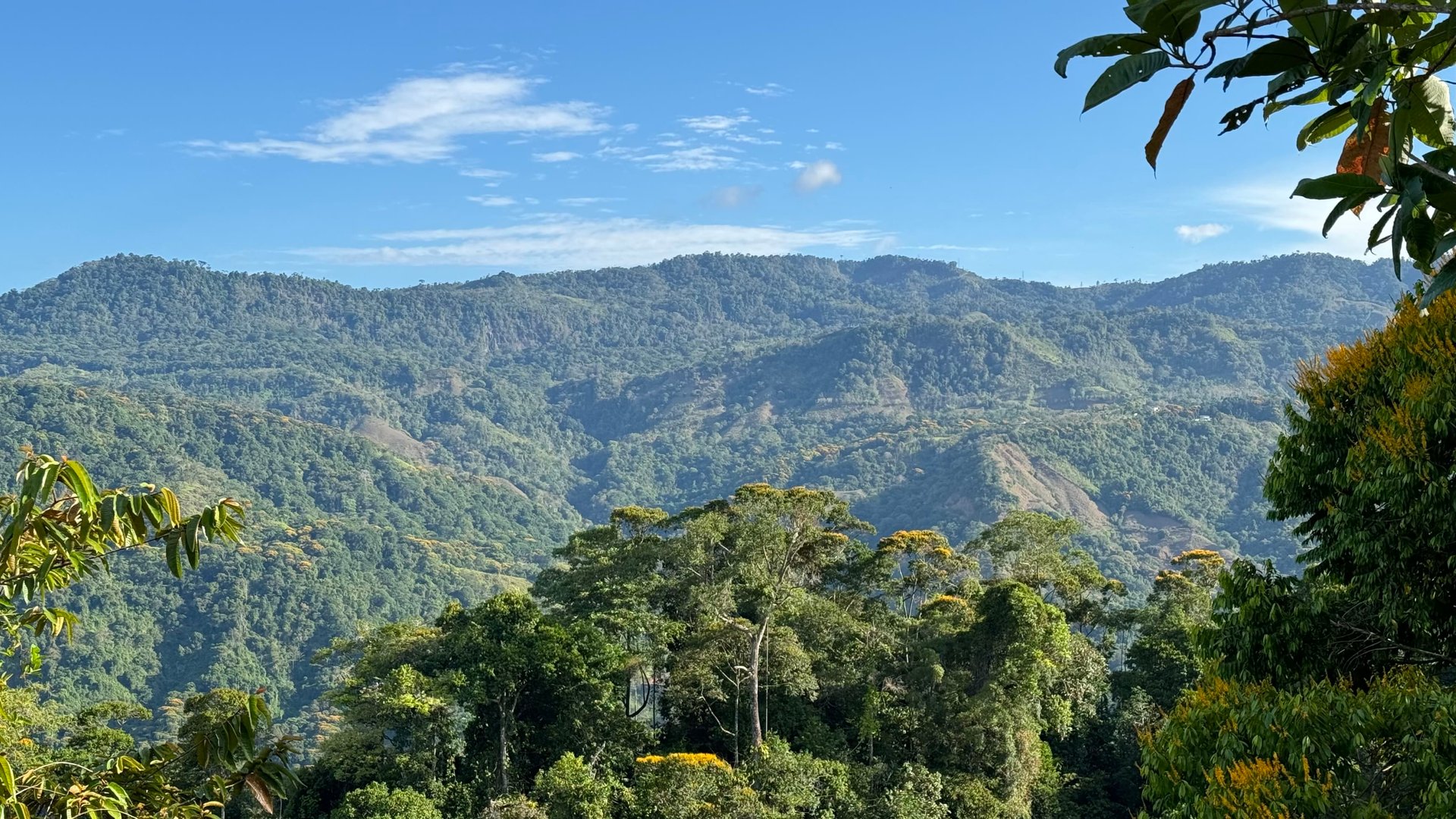 Ocean View Lots in the Exclusive Uvita Mountains. 