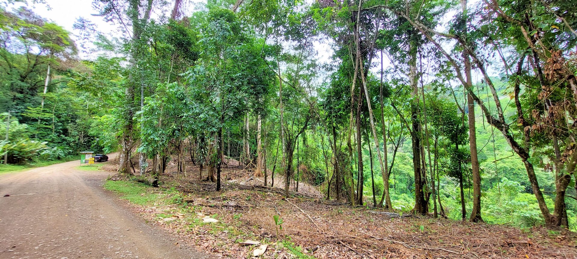 3.5 Acres of Paradise In Uvita, Jungle View!