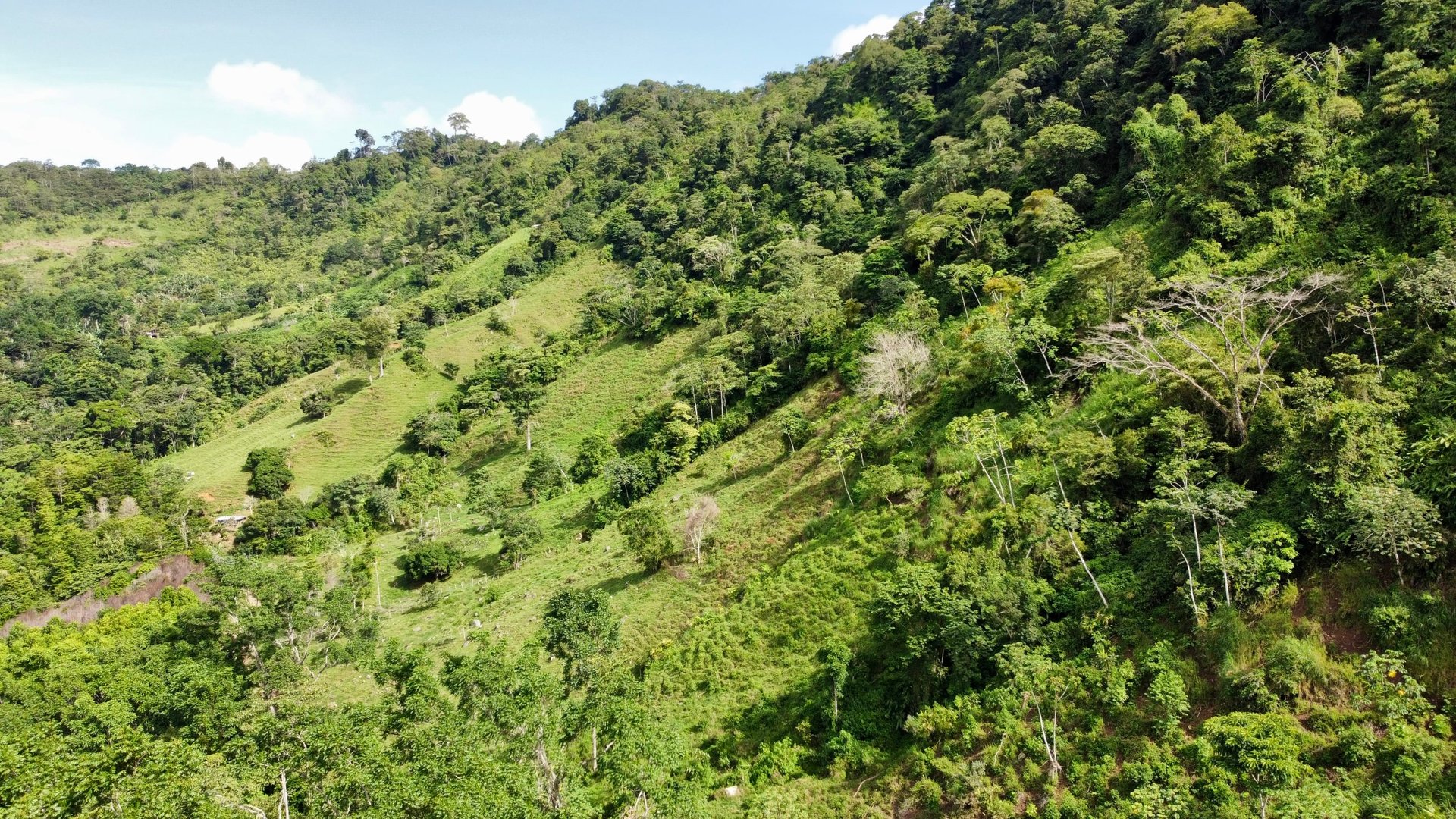 FIRE SALE!! Ocean View Farm in San Luis de Morete, Over 23 Acres