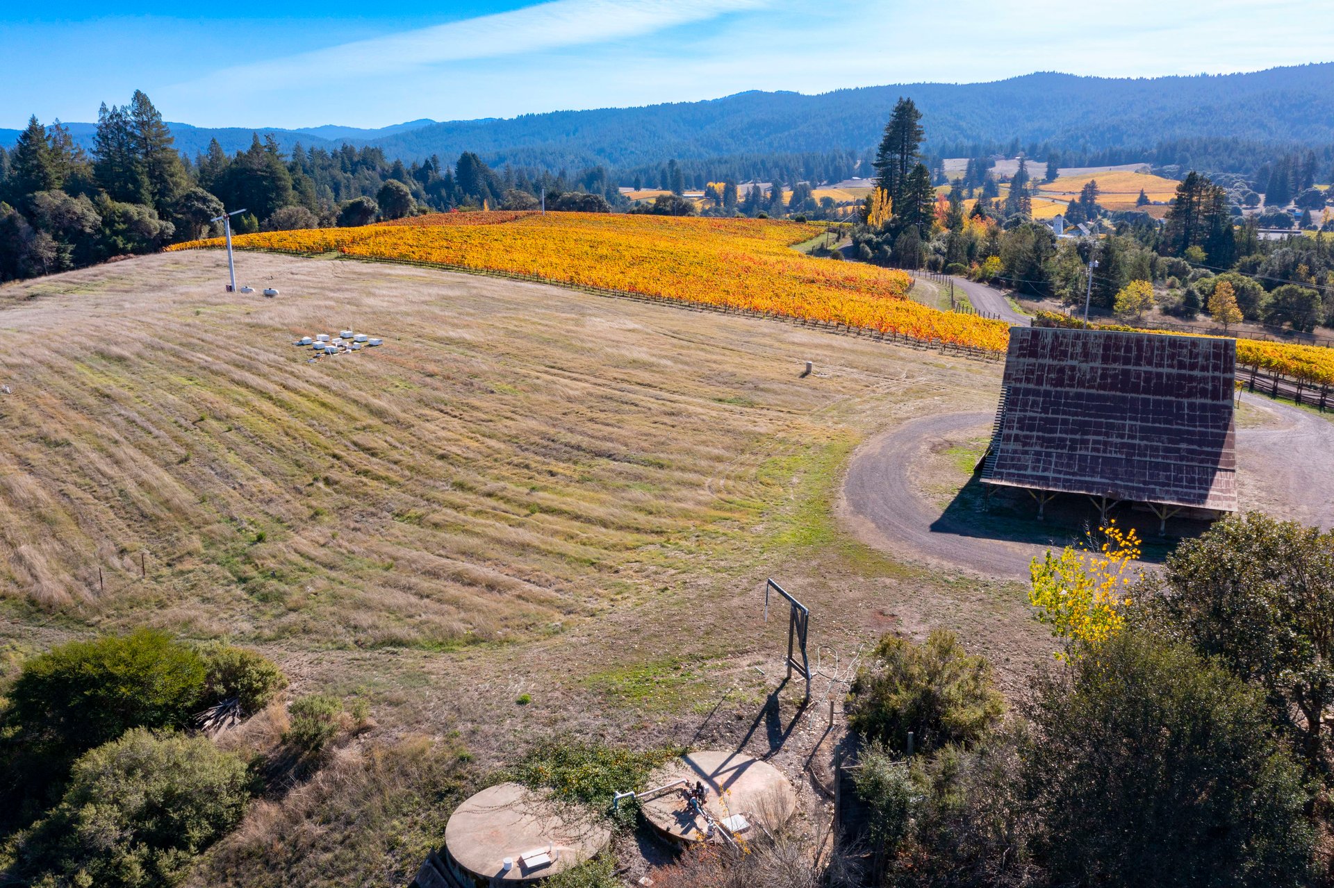 Abel Vineyard