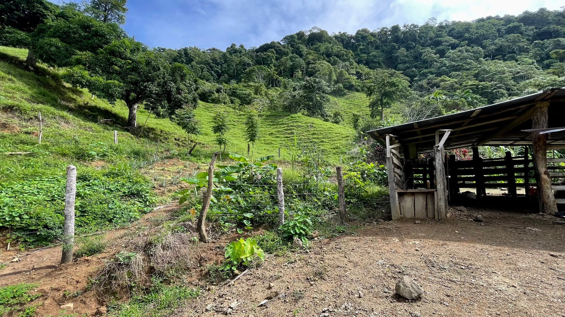 FIRE SALE!! Ocean View Farm in San Luis de Morete, Over 23 Acres