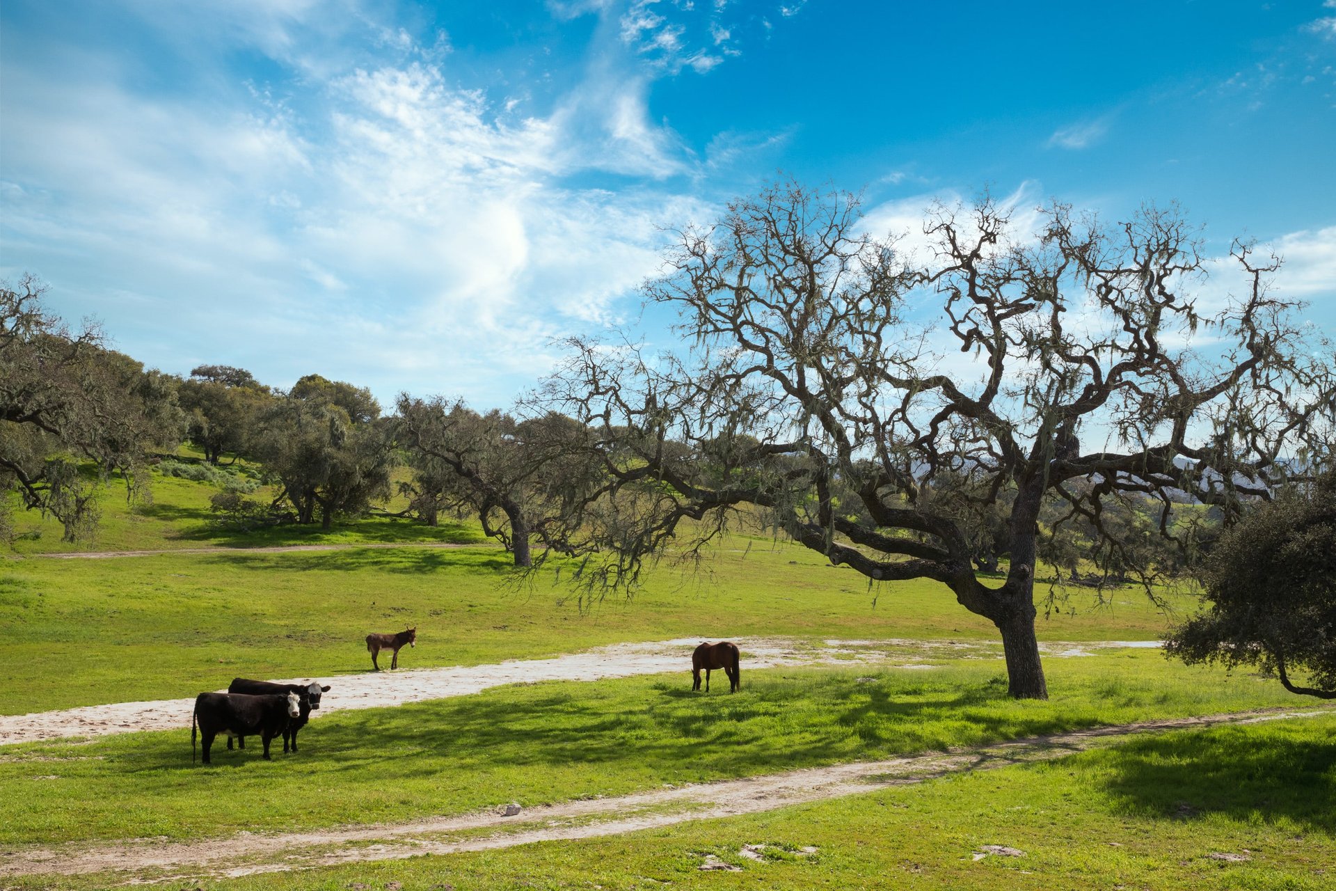 Rancho El Morro