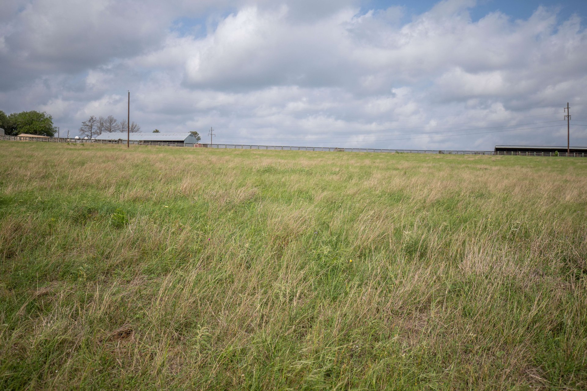 Gorgeous 98.5 Acre Horse Property PLUS           4900 Sq Ft Home