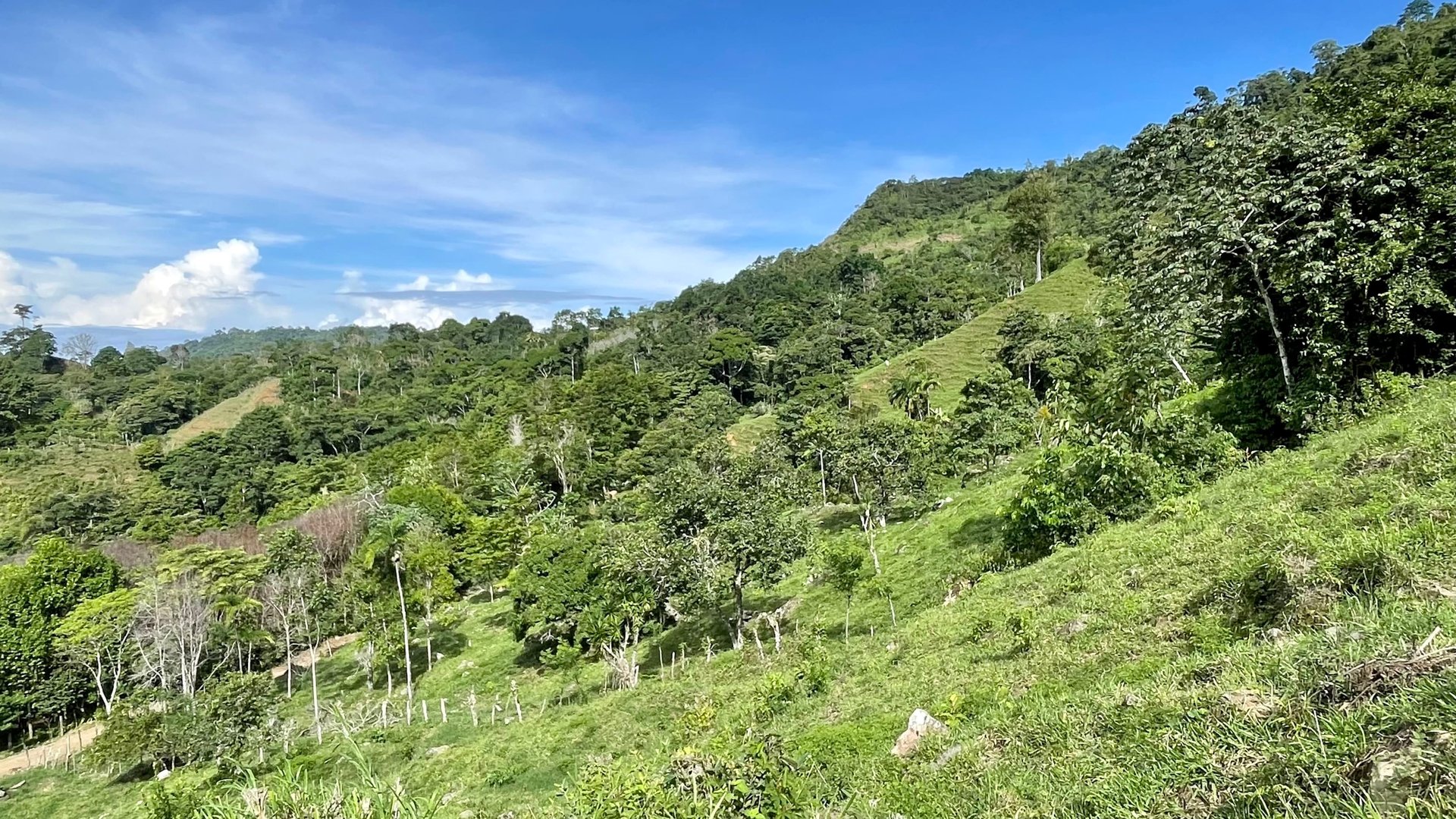 FIRE SALE!! Ocean View Farm in San Luis de Morete, Over 23 Acres