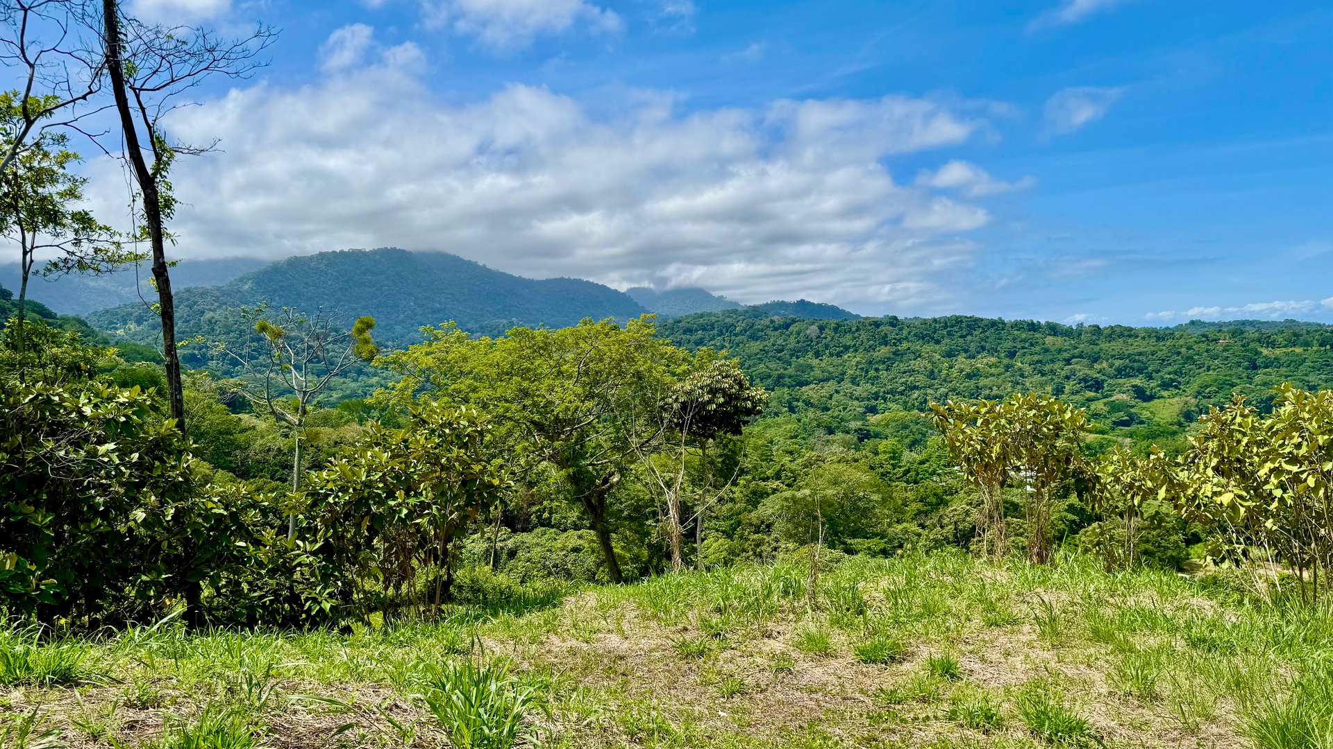 Las Terrazas Dream Estate | Spectacular Ocean & Mountain Views with a Waterfall 