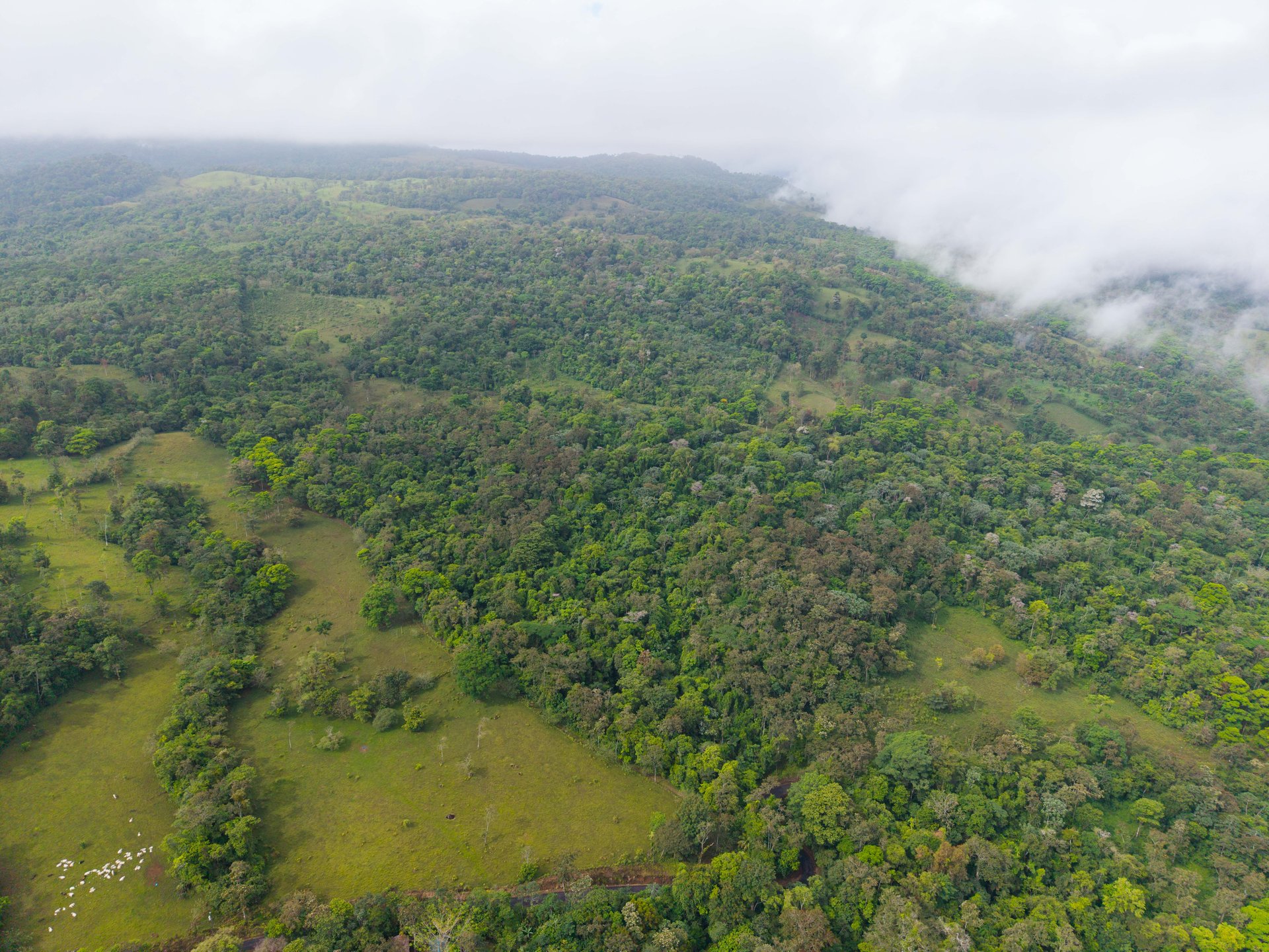 Finca Las Zompopas-Río Celeste | 113-Acre Biodiverse Property in Bijagua, Ideal for Eco-Tourism, Private Retreats, or Sustainable Development