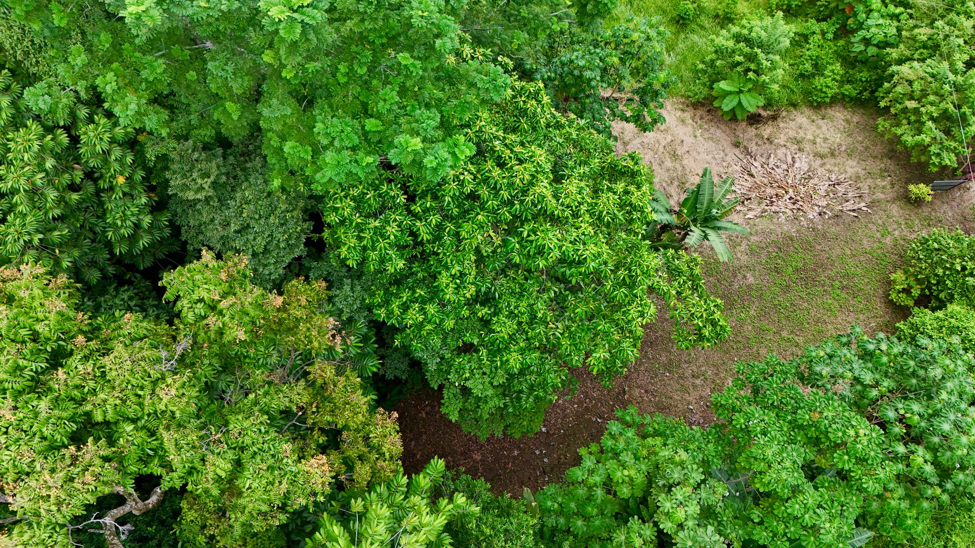 Tres Ríos Jungle Sanctuary | Ready-to-Build Lot Surrounded by Nature