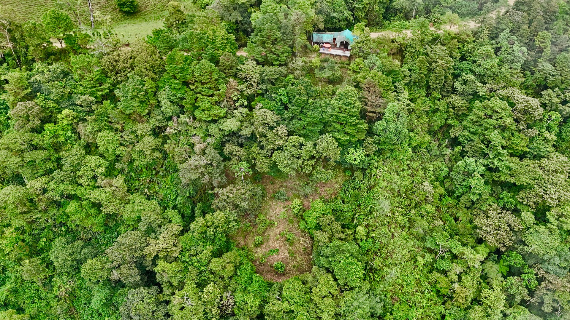 The Last of Its Kind Property in San Luis de Morete, Over 1.53 Acres