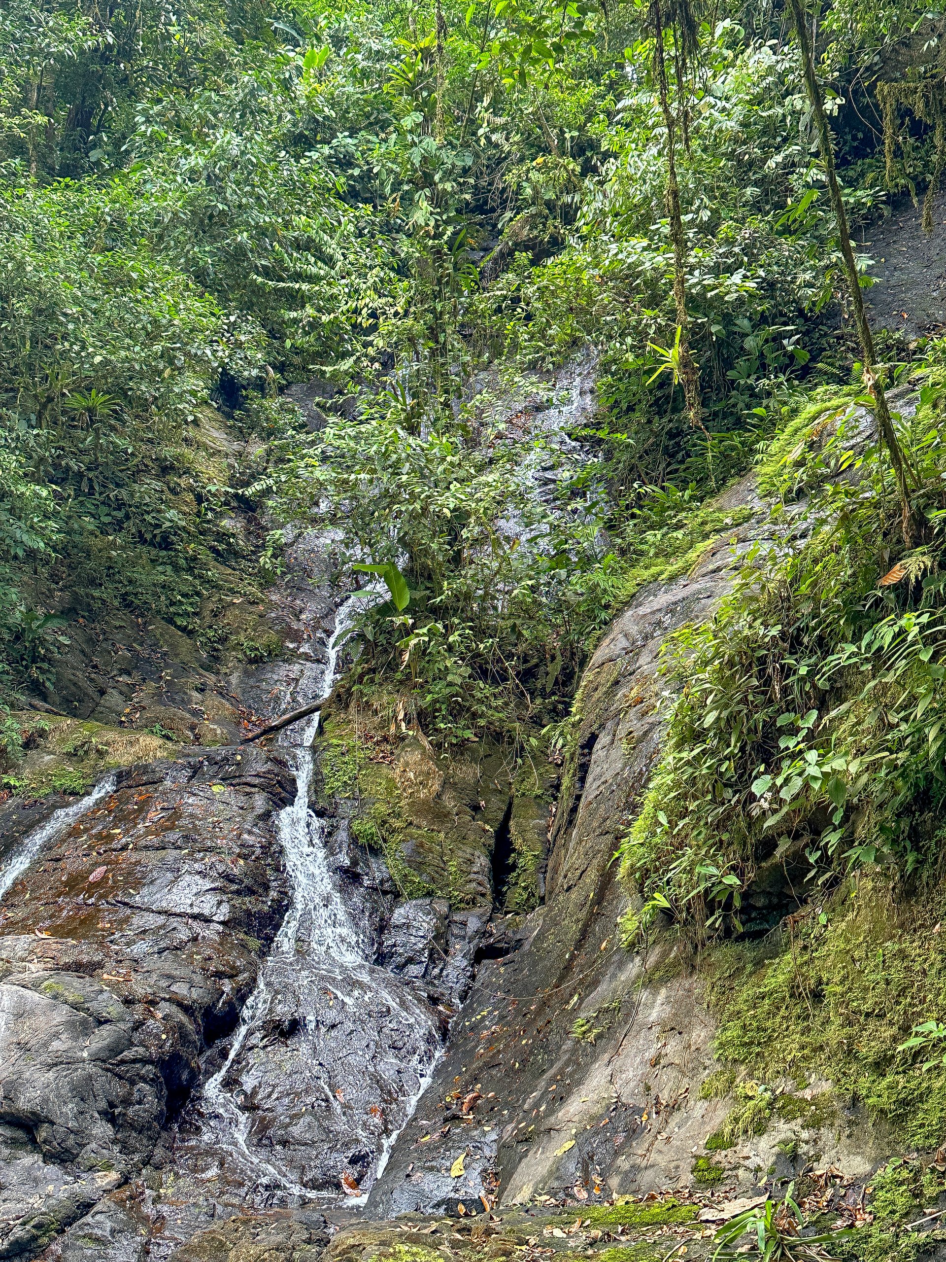 A Huge Rainforest, River & Waterfall Property With TWO Mountain & Jungle-View Luxury Homes on a Massive 4.93 Acre Lot – PLUS an Additional Plantel ready for Development