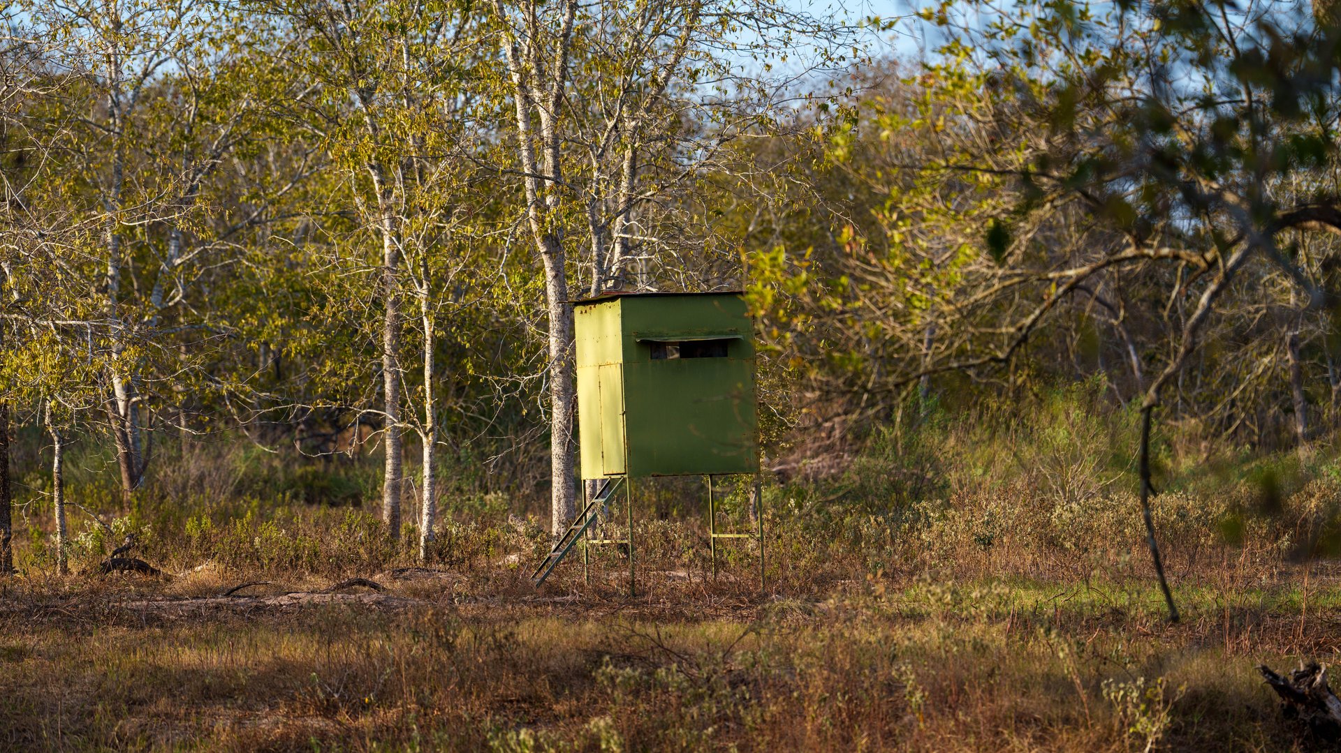 Gonzales County | 104+/- Acres