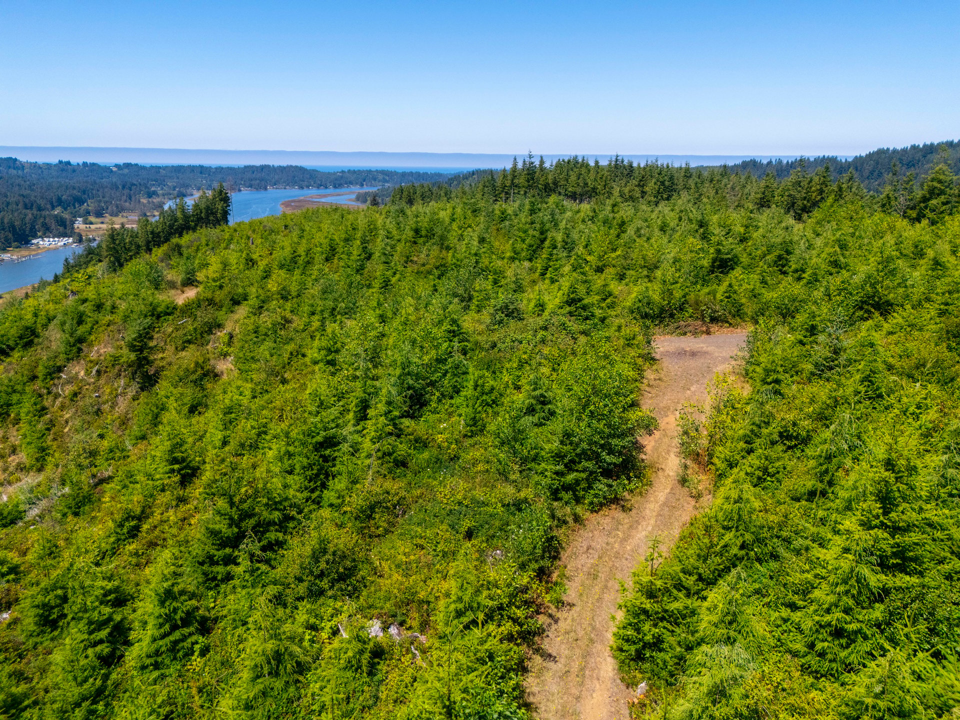 Alsea Estuary Forestland
