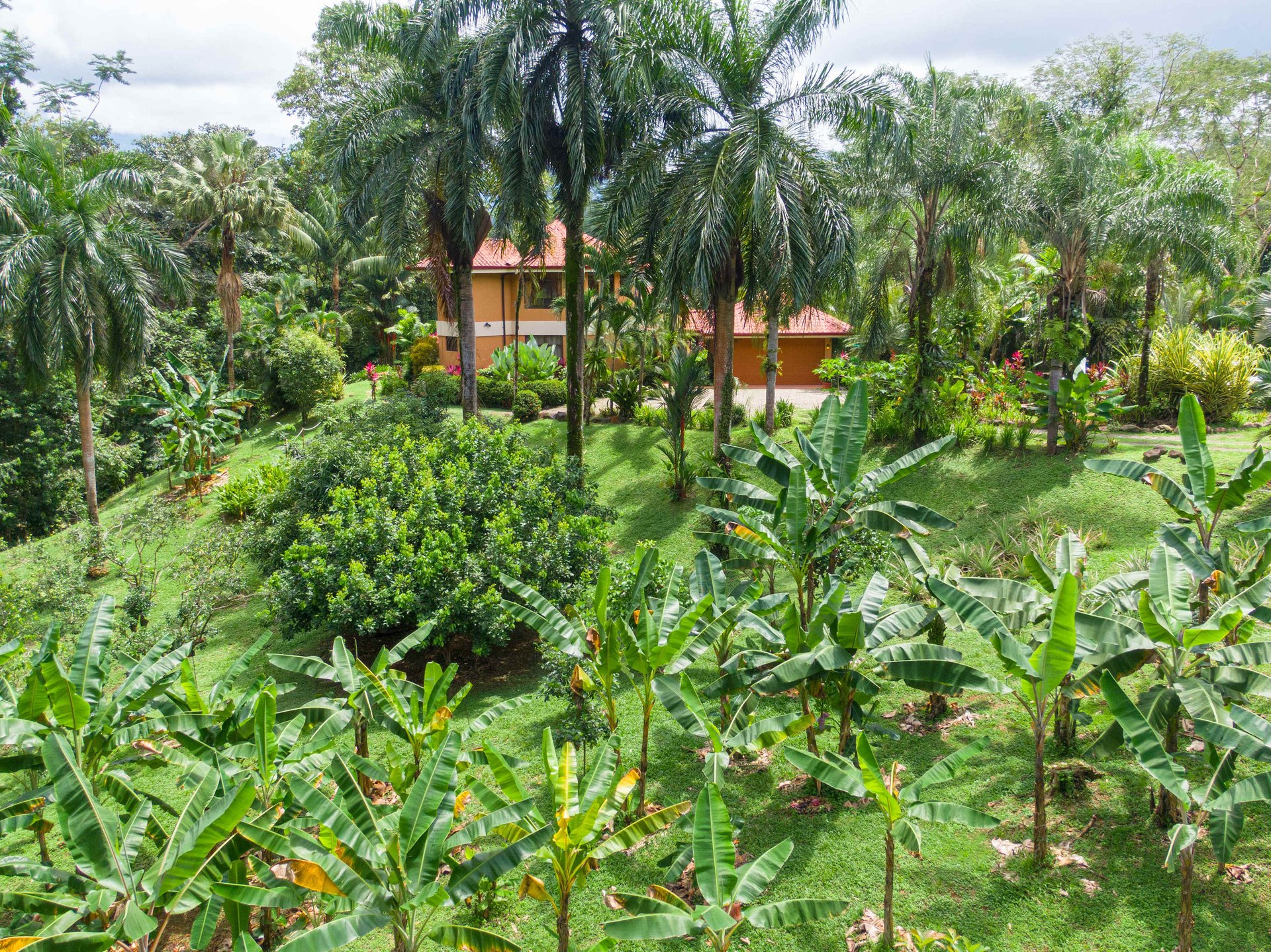 Stunning Tropical Home in Gated community with Hundreds of fruit trees  