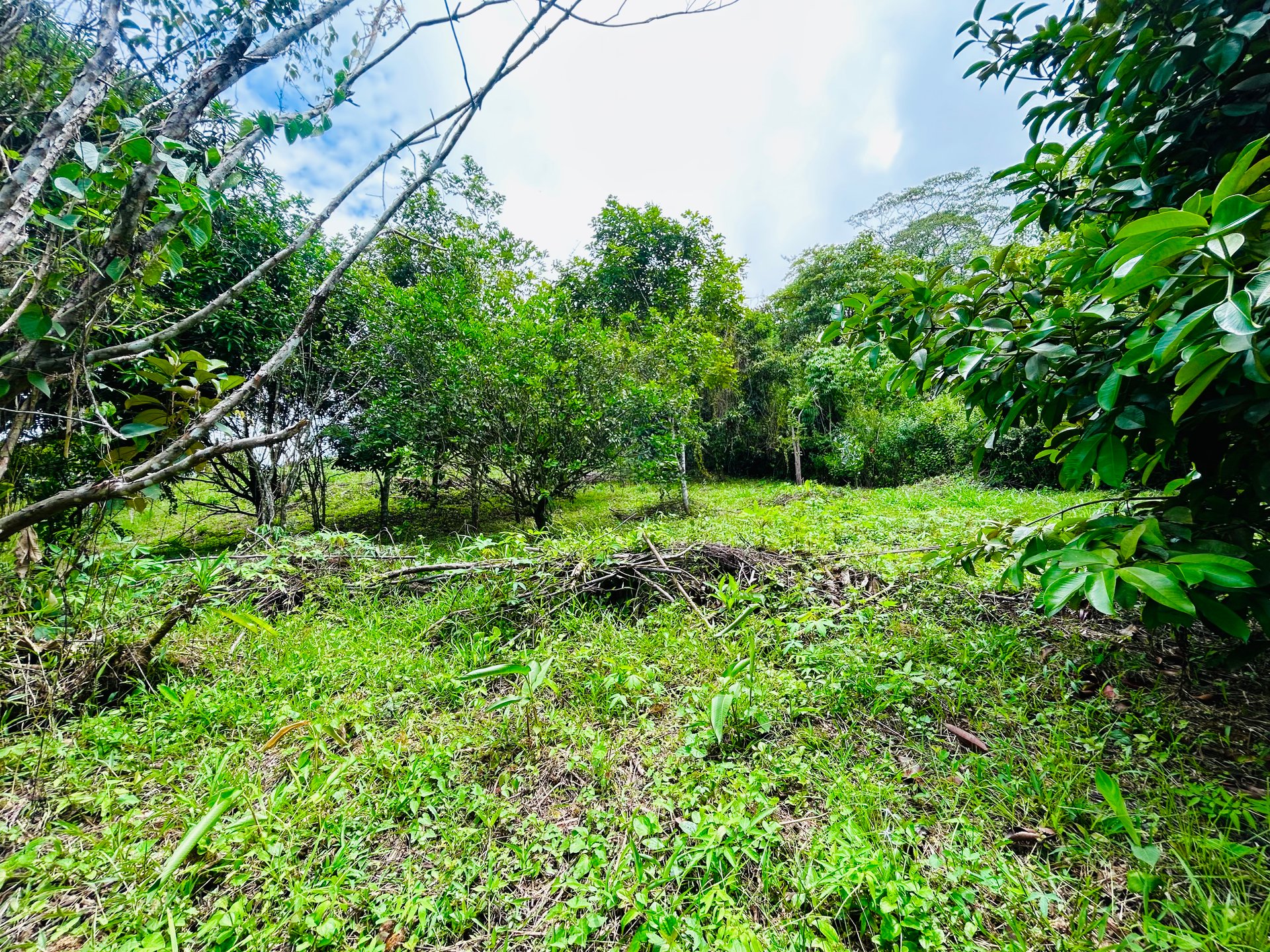 Ocean & Mountain View Lot with Multiple Building Sites-20 Minutes from Uvita
