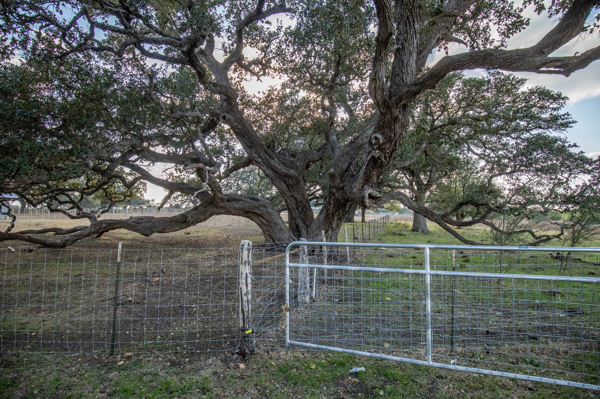 1019 Tulley Road | 45.86± Acres | Cuero, DeWitt County, TX