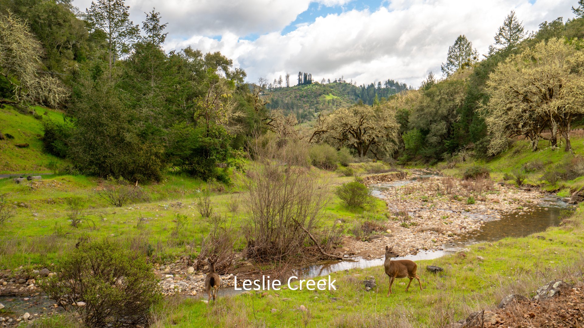 Leslie Creek Retreat