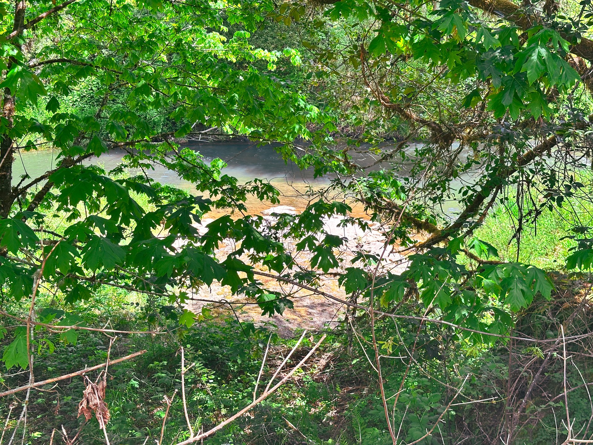 STRICKLAND CANYON HOMESITE