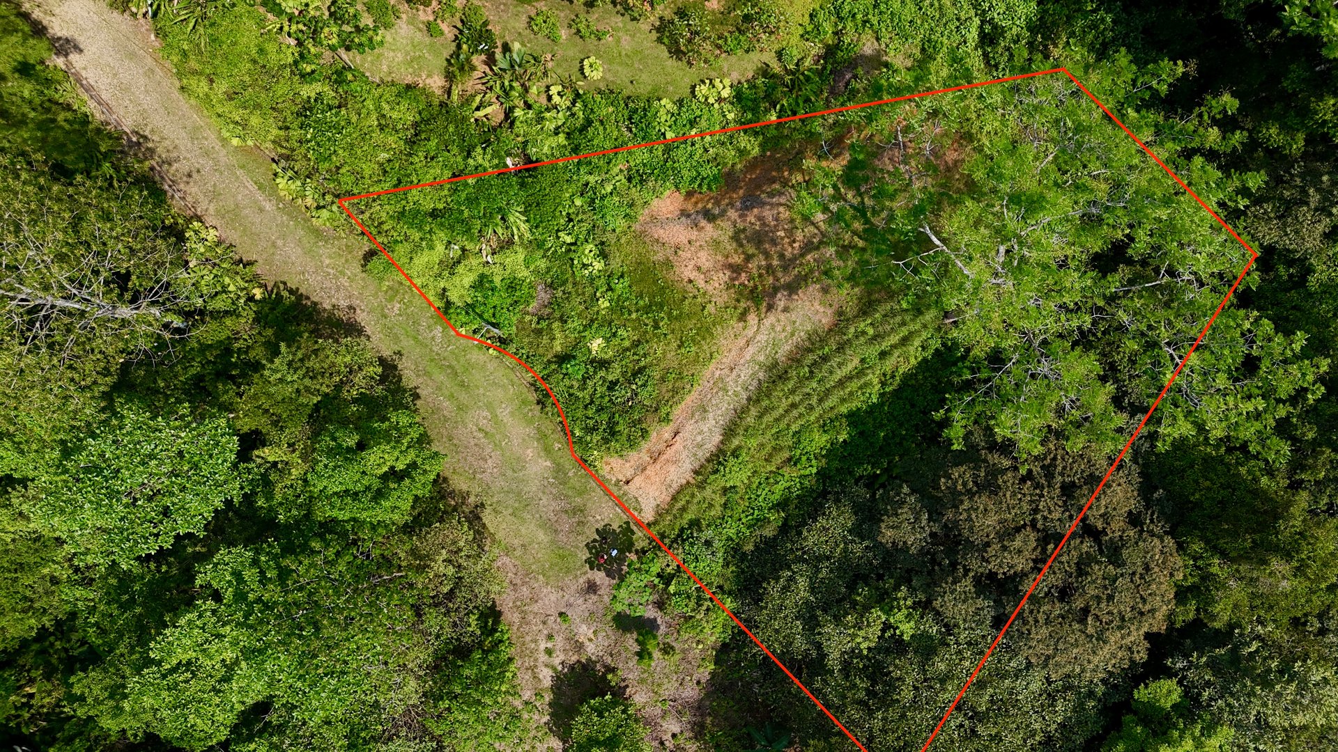 Beautiful Lot in Phase 9 Ojochal, Gated Communuity - NOW WITH LEGAL WATER