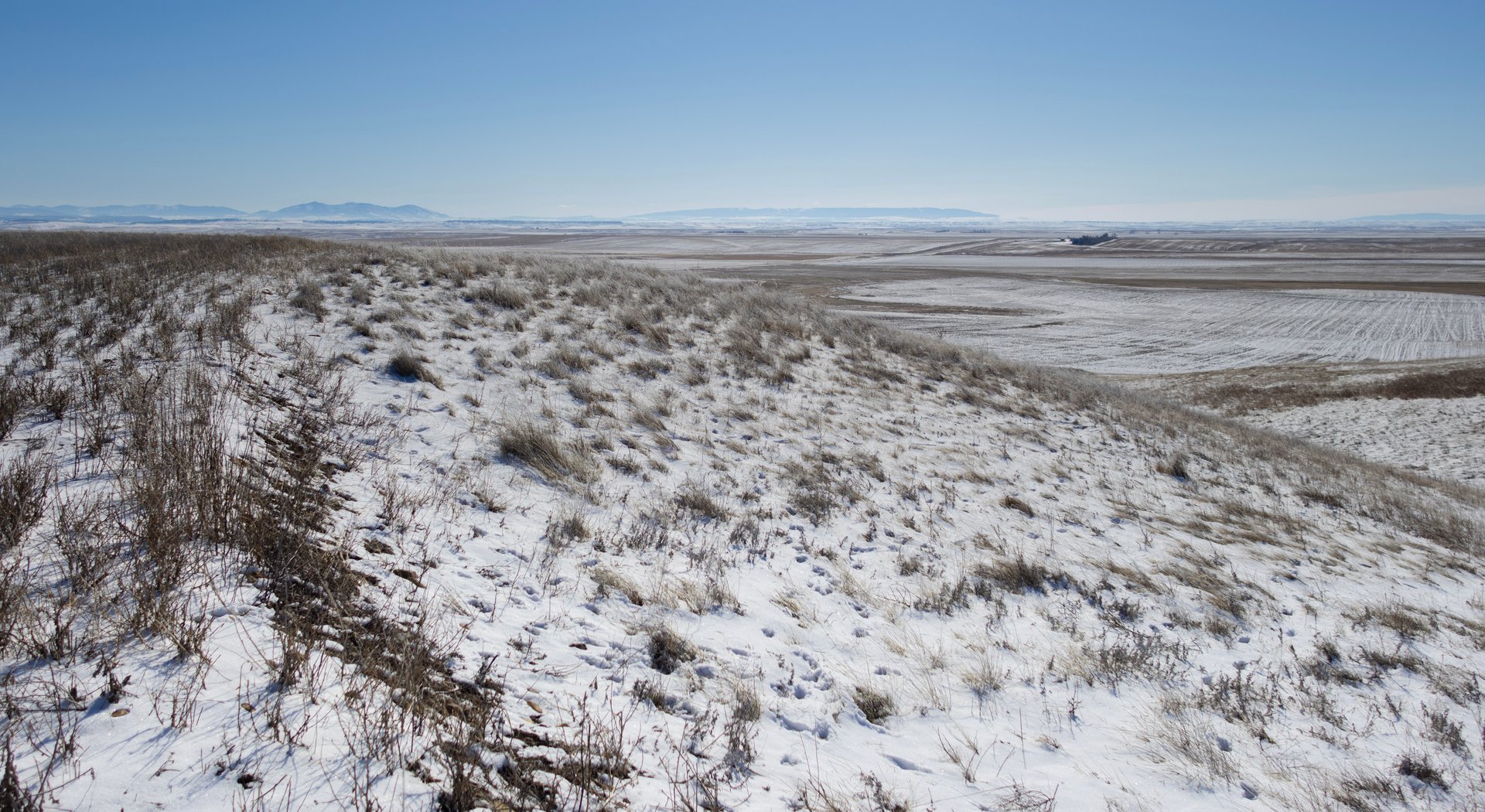Upland Edge