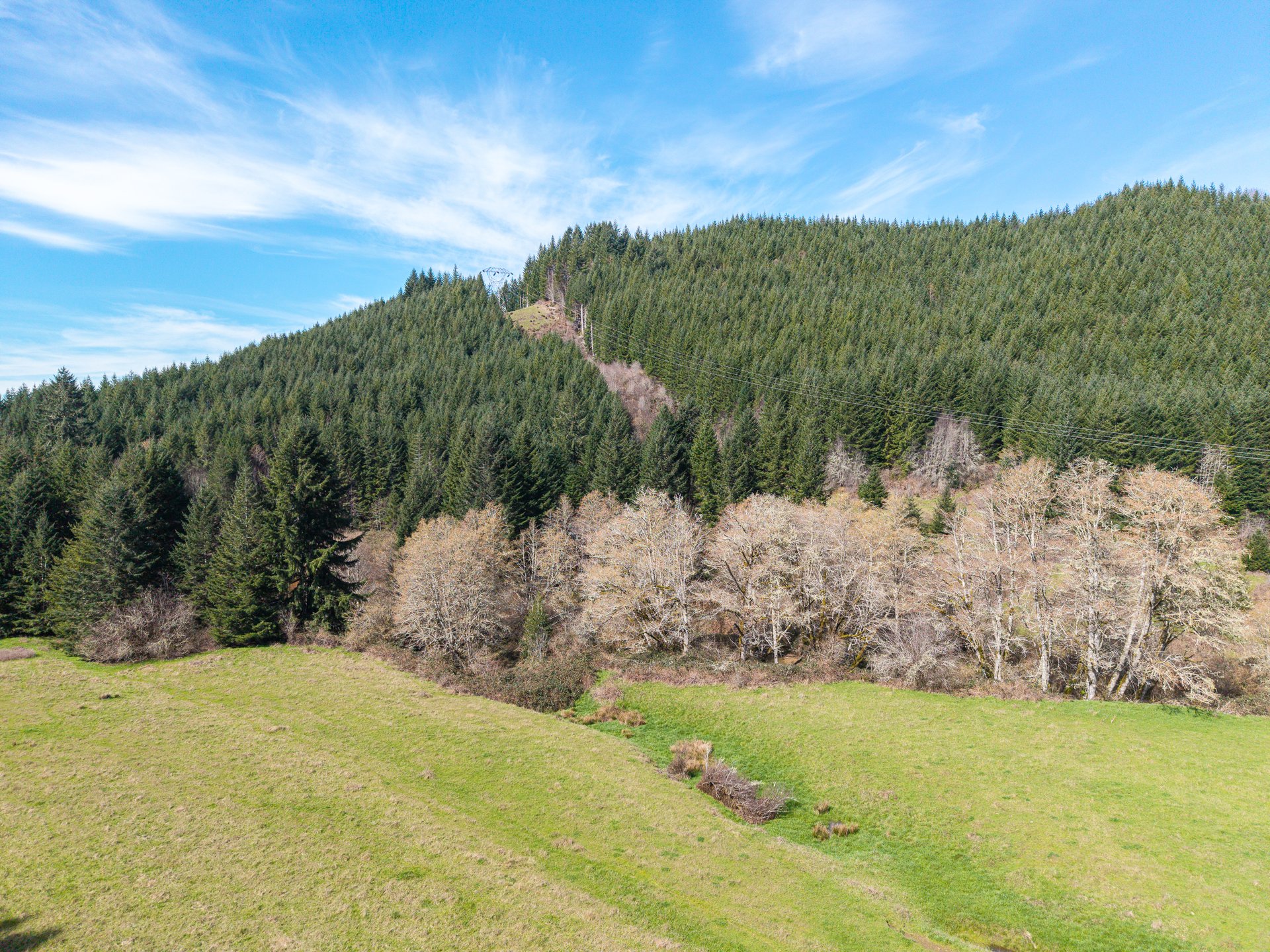 LITTLE ELK TREEFARM