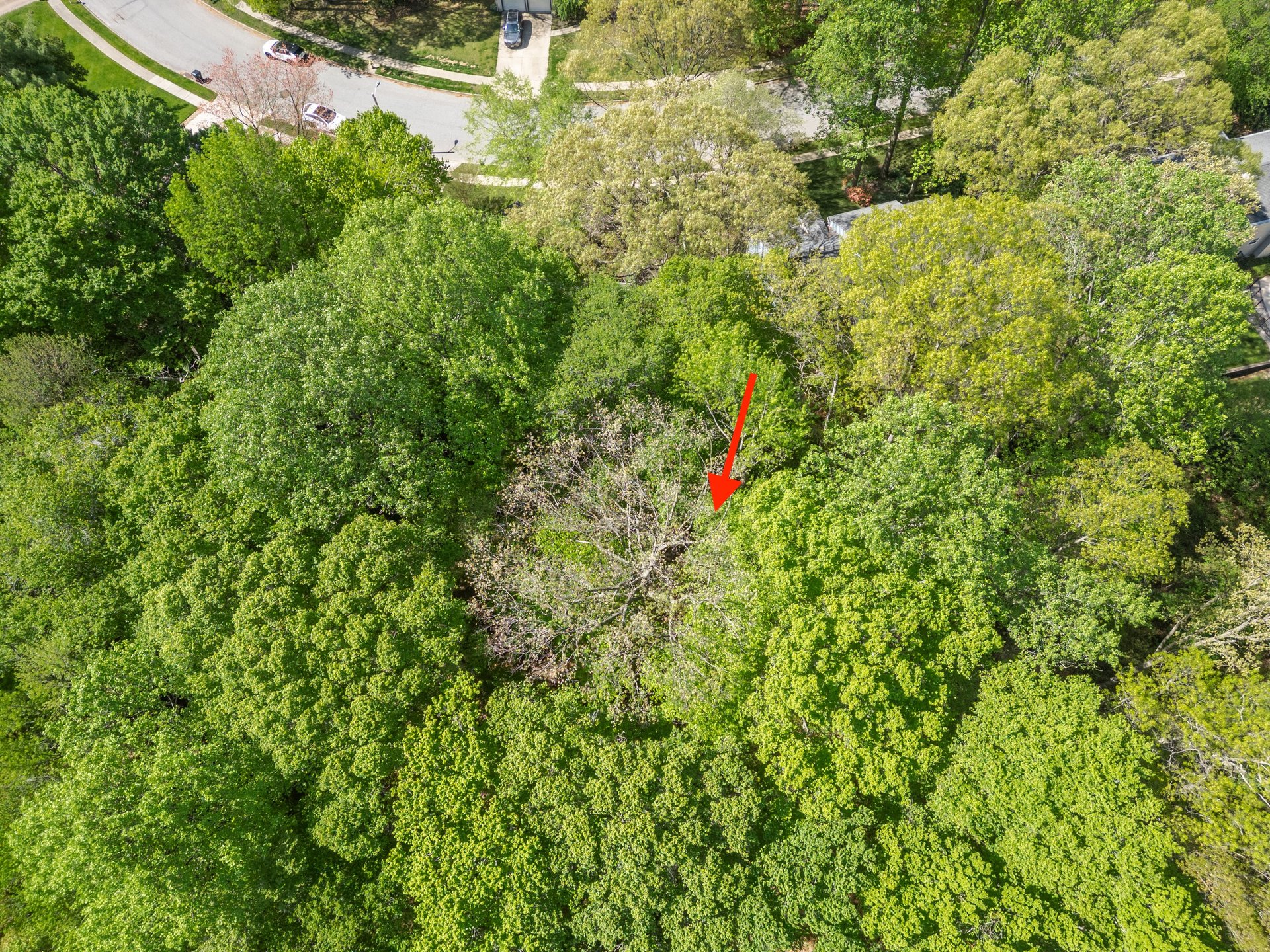 141 Rabbit Run Rd