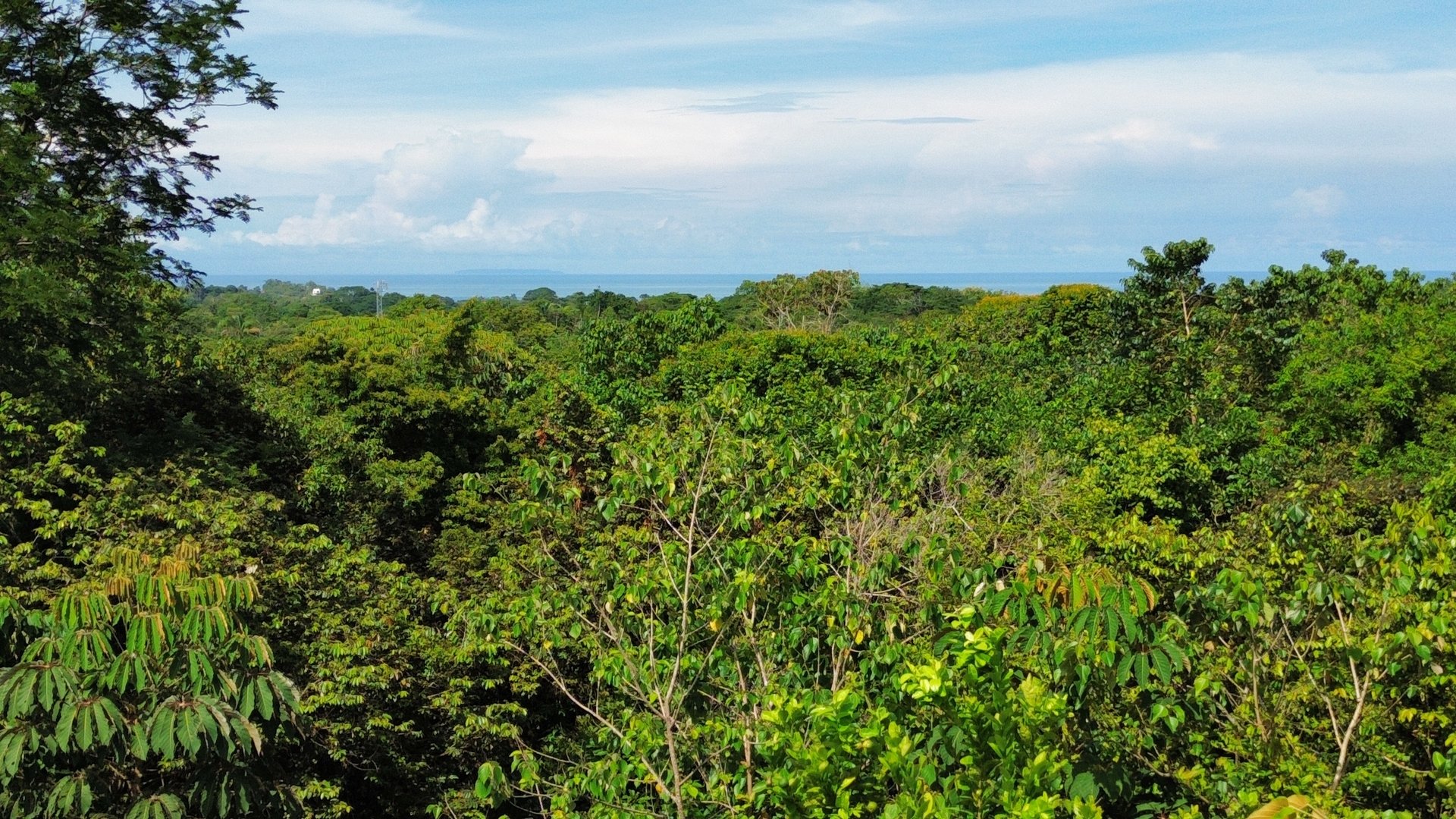 FIRE SALE - Cano Island & Ocean Views, w/Approved Building Plans