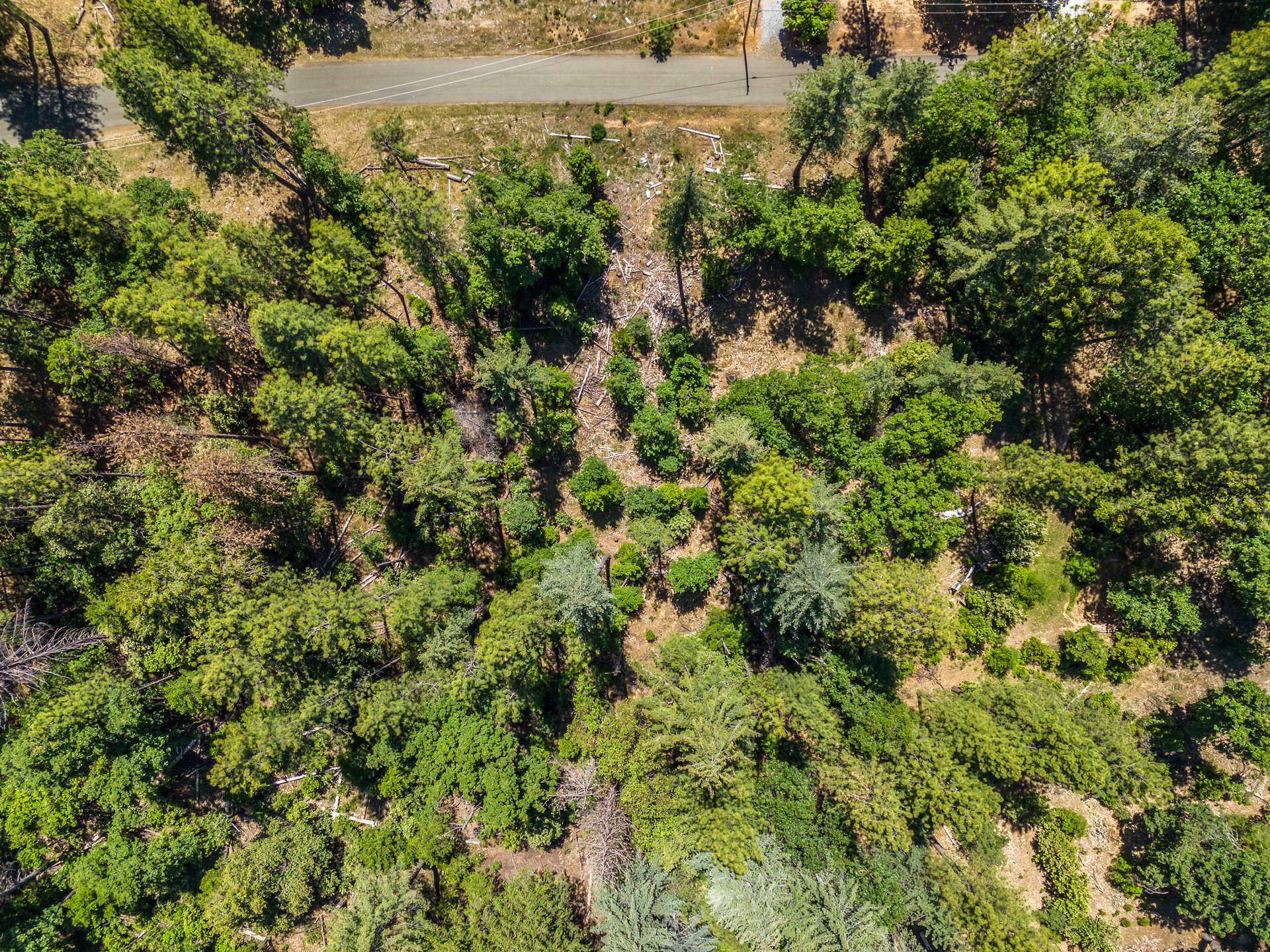 6324 Dickinson Rd