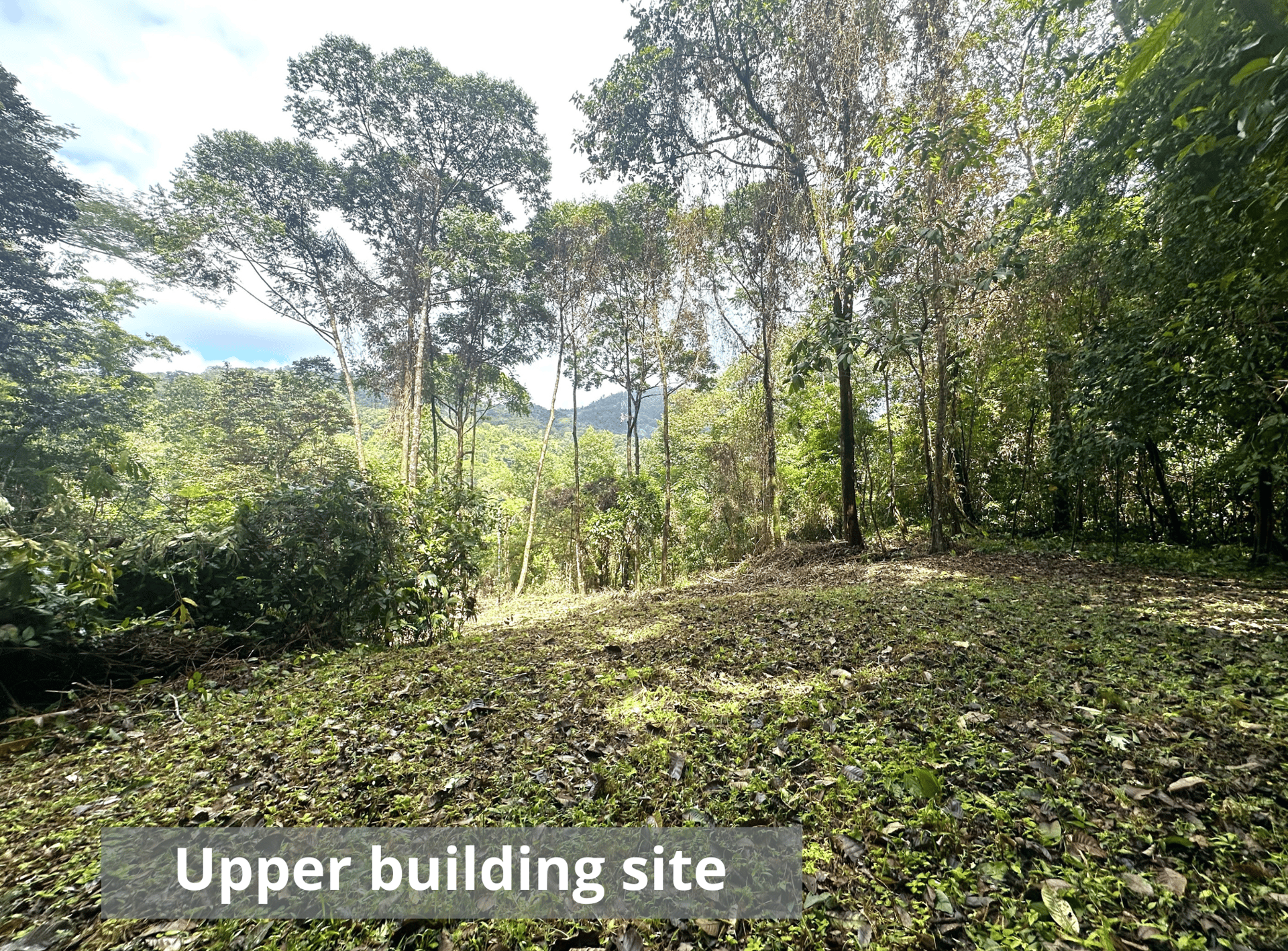 Mountain View Building Lot in Prestigious Gated Community With Private Waterfall & Two Building Sites