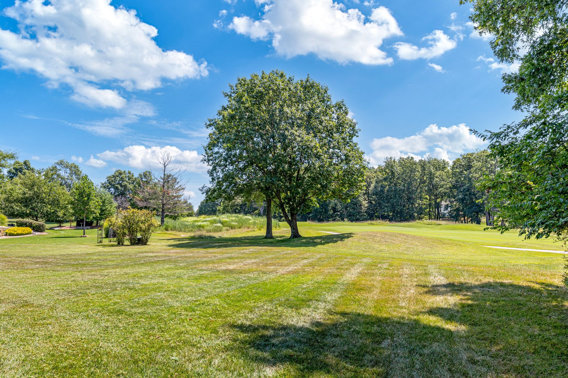 1069 Whitmoor Drive