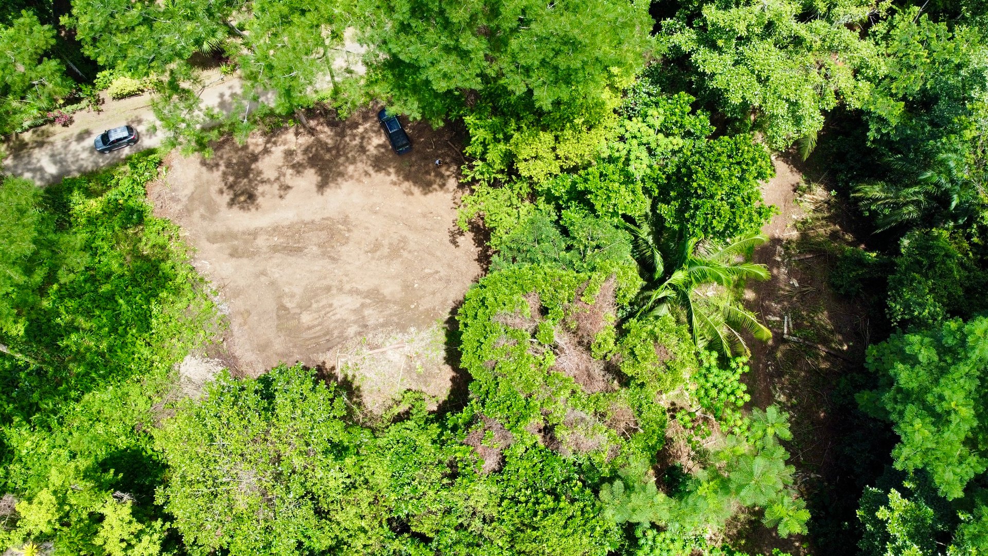 Ready-to-Build Land in San Antonio de Damas: 2,6-Acre with Terraces & Road Frontage
