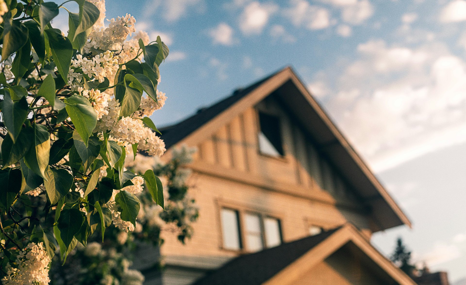 The 10 Best Open House Ideas to Attract Buyers and Create Buzz: SYG’s Formula for Sold