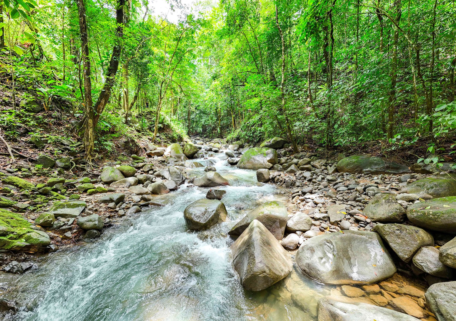 2-Bedroom Jungle Home with River, Waterfall & Pool on 3.8 Acres in Ojochal, Costa Rica