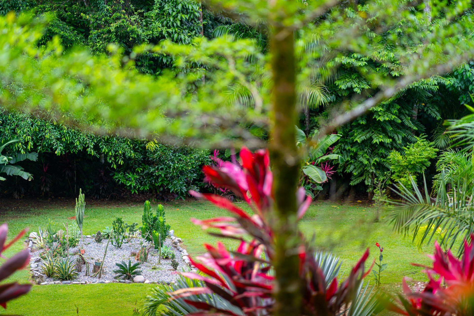 Tropical Family Compound | Luxury Home, 2 Villas, River & Cascades - 2.3 Acres