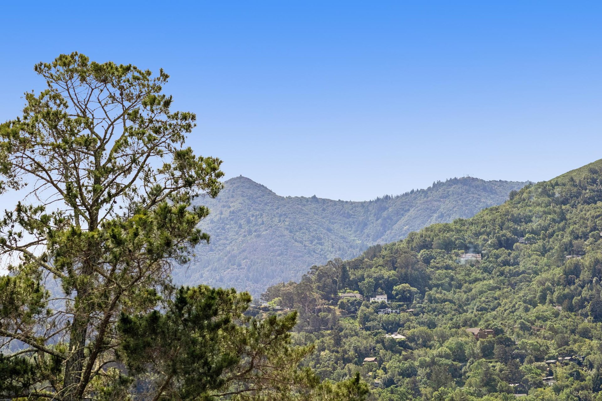 95 Ridge