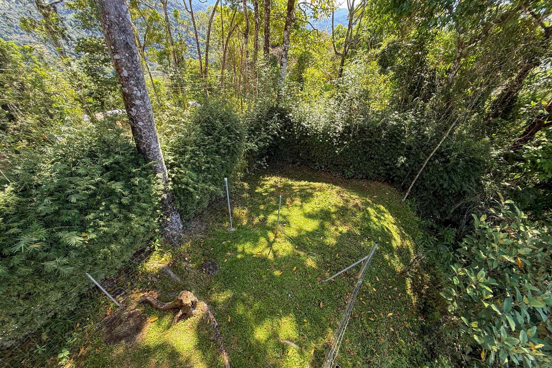 Totally Remodeled Coastal Jungle 2-Bedroom Sanctuary Home with Valley & Ocean Views in Lagunas above Dominical Costa Rica