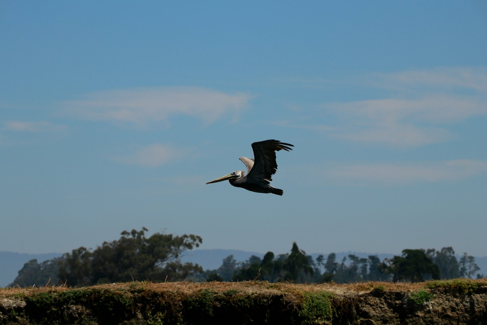 Monterey Preserve Estate Lots