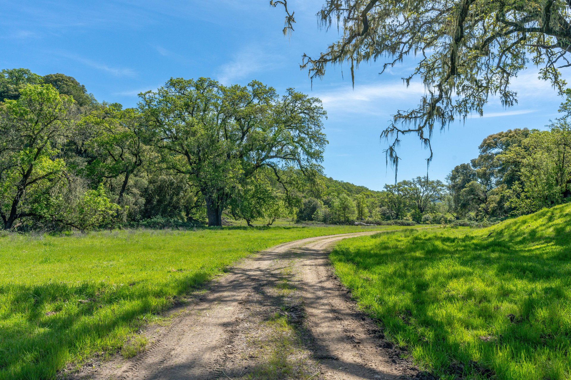 The Hopland Hills Ranch