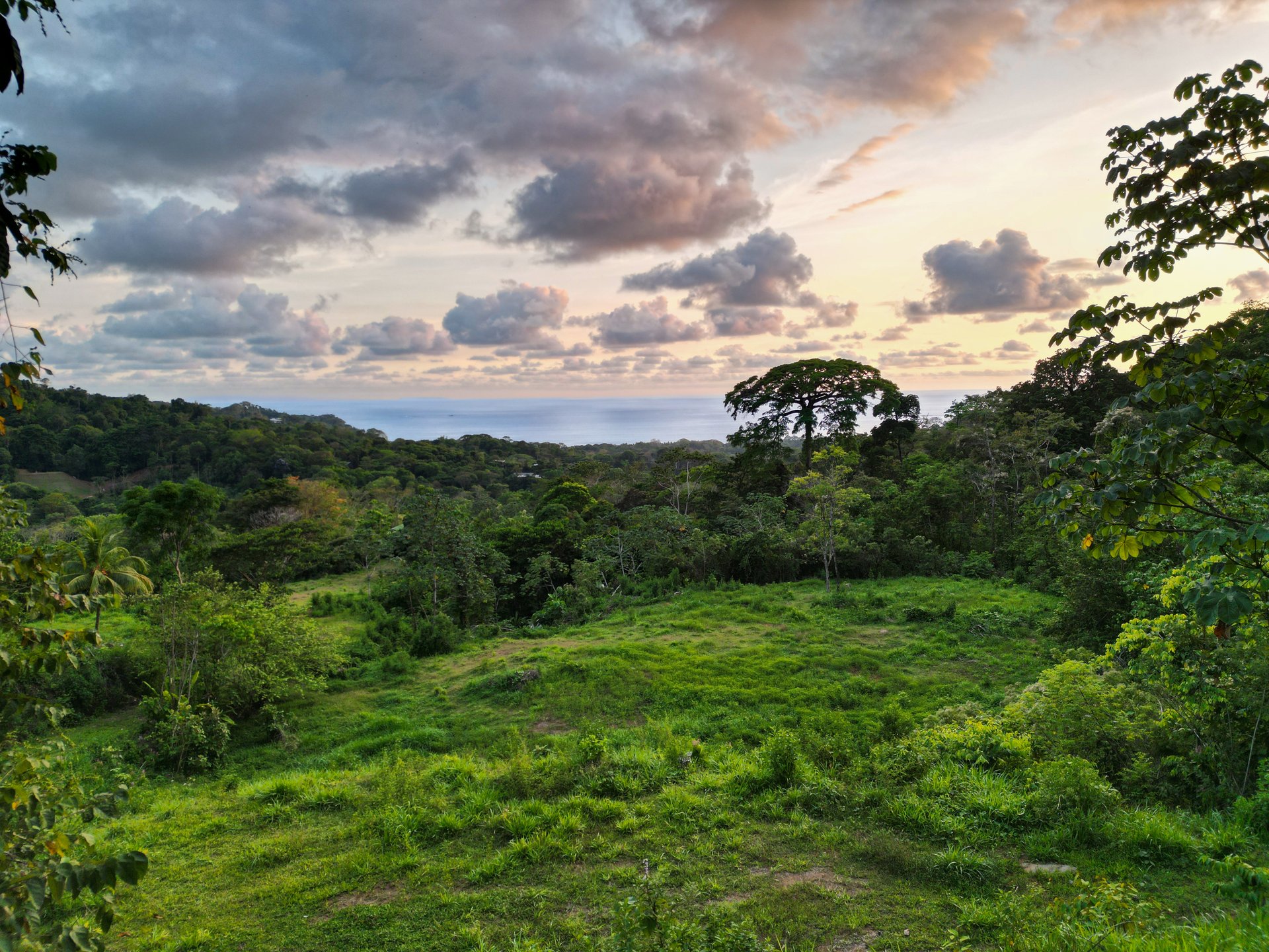 Build Your Vision in Uvita – 15.9 Ocean View Acres with Easy Access + Utilities Ready!