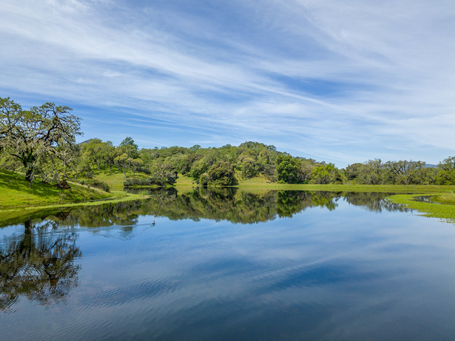 The Hopland Hills Ranch