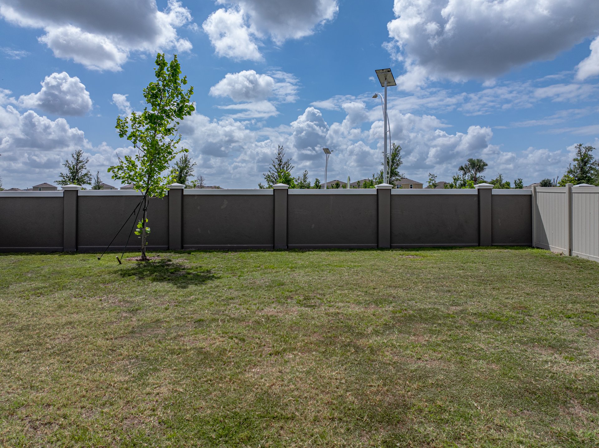 30739 PENNY SURF LOOP