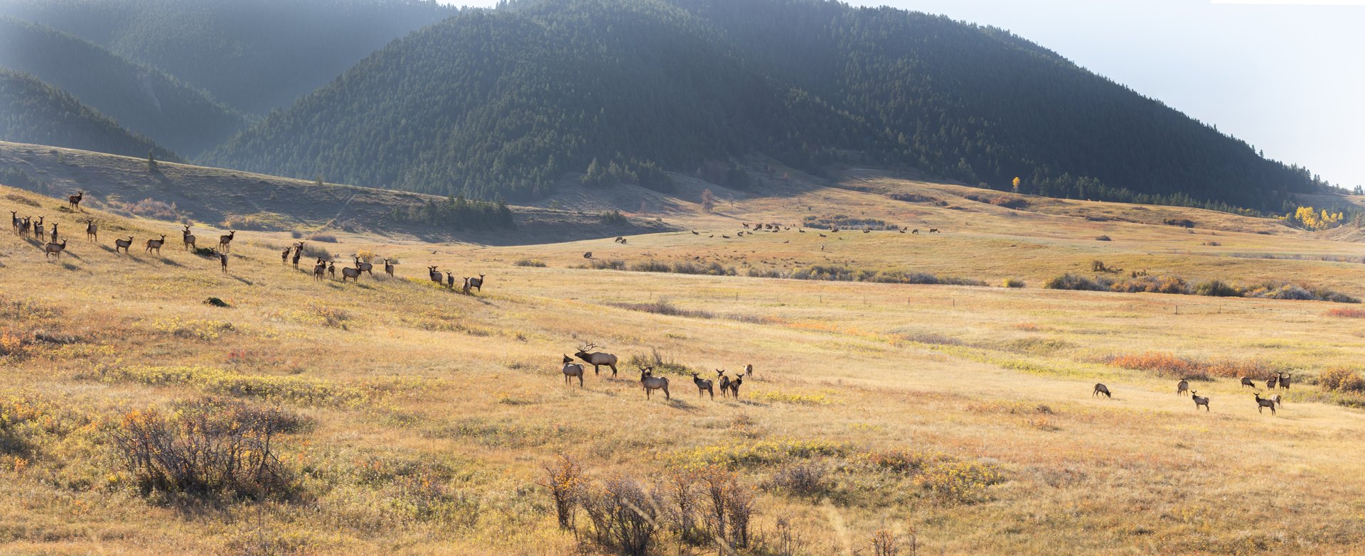 Box Elder Ranch