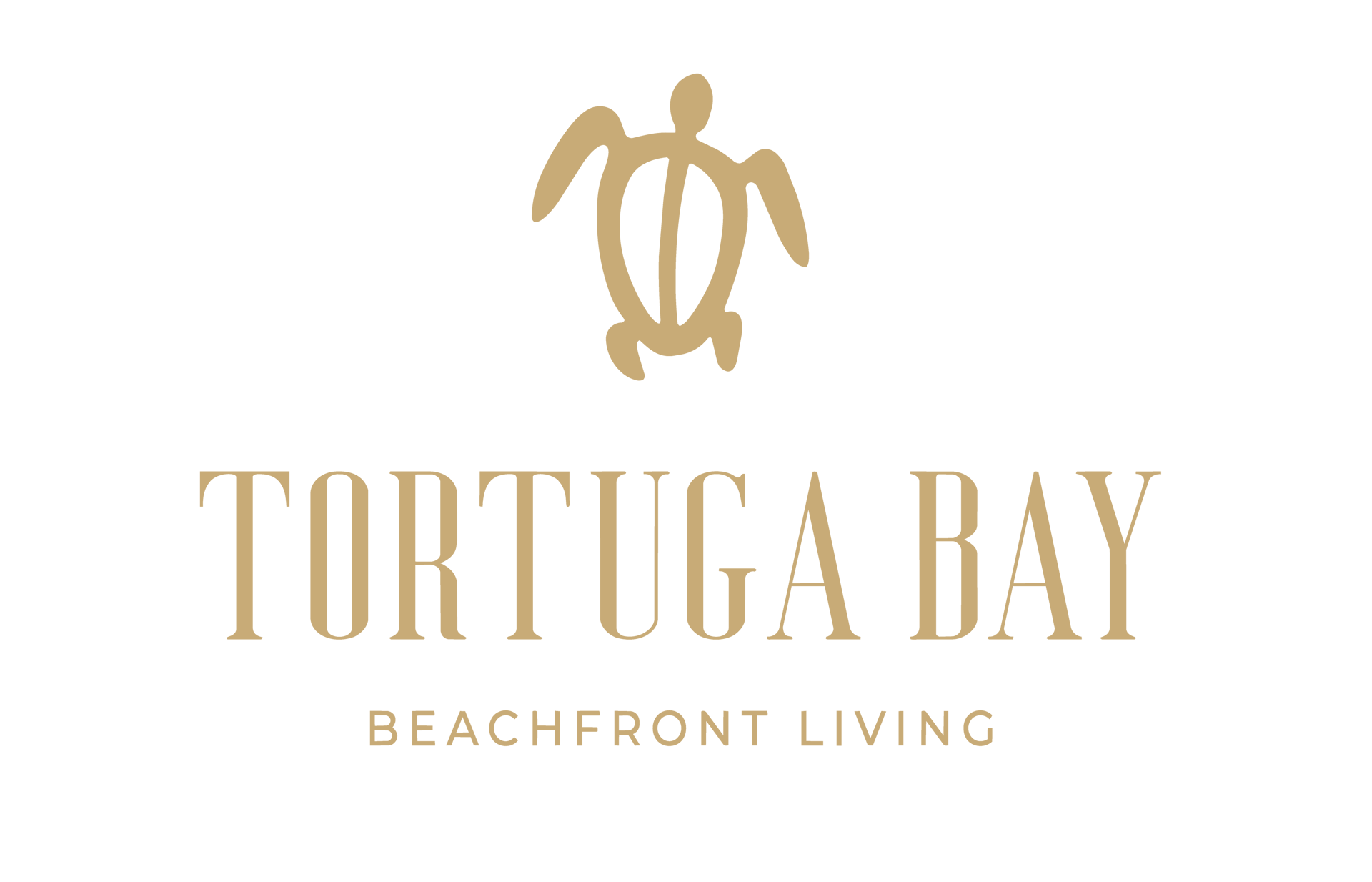 Tortuga Bay Phase II Sea of Cortez setting