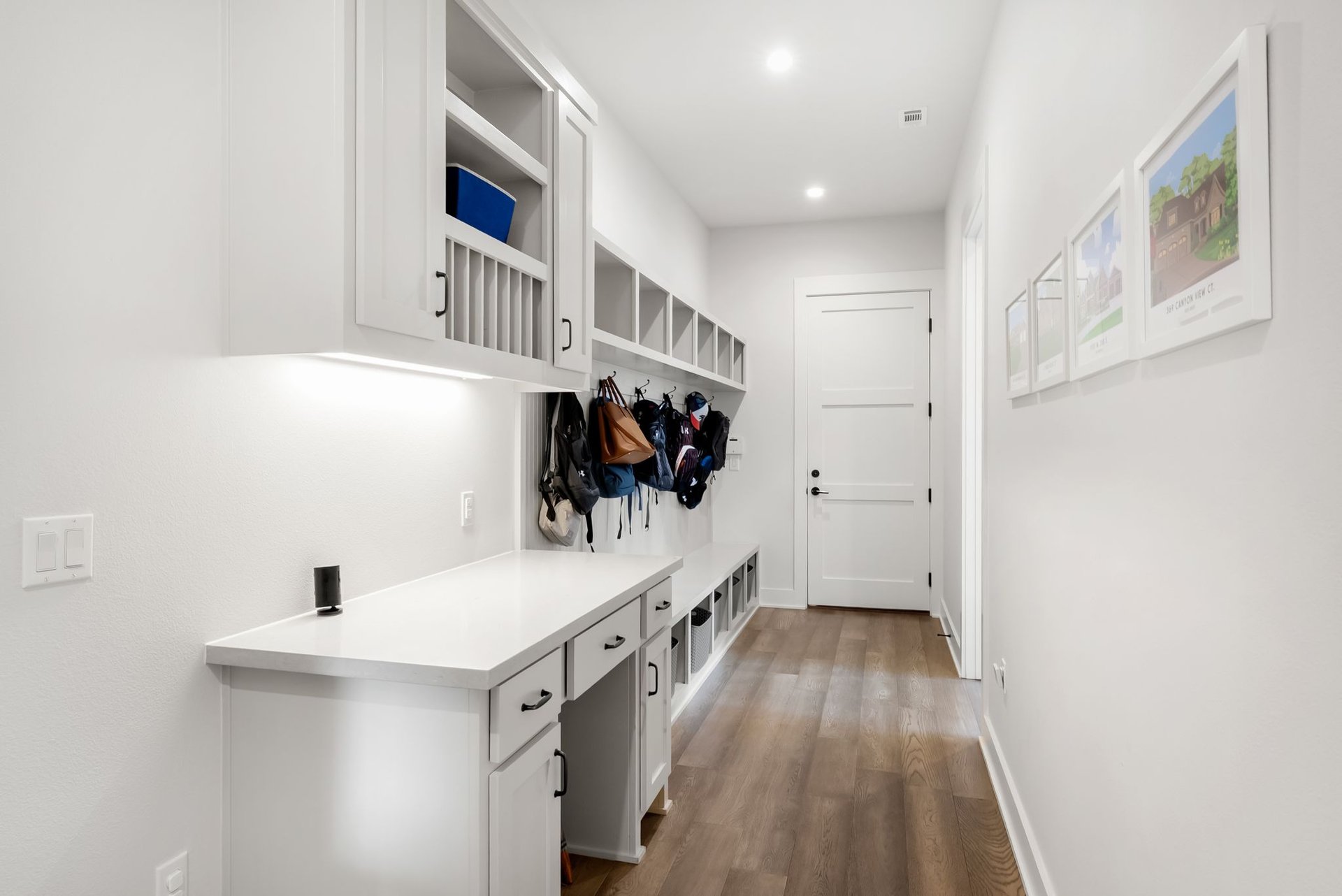 7808 Regolizia Cove