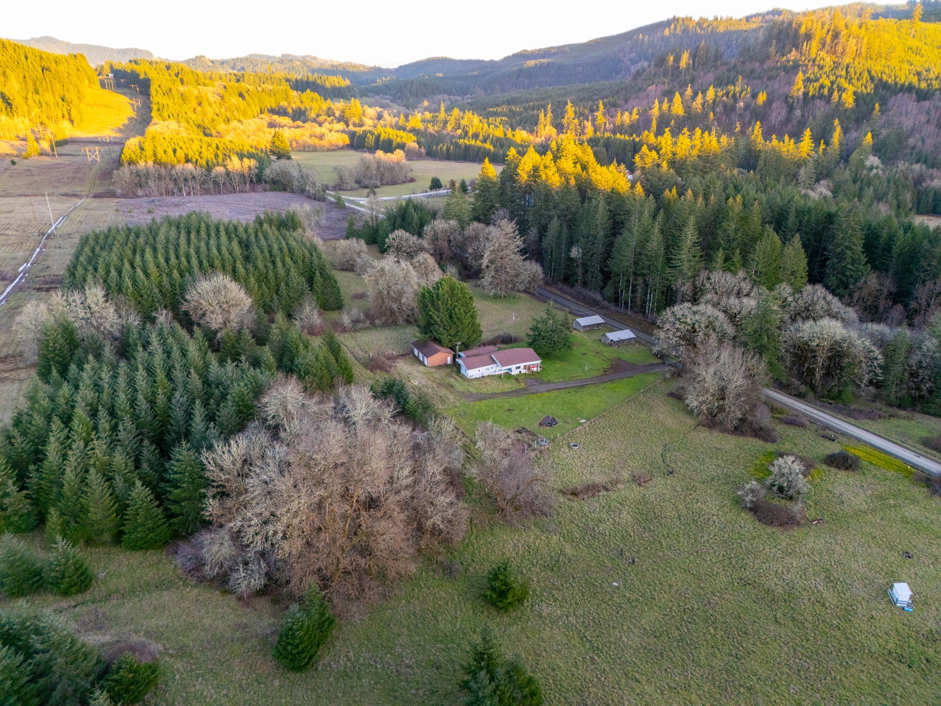 HARRIS FARM & FOREST