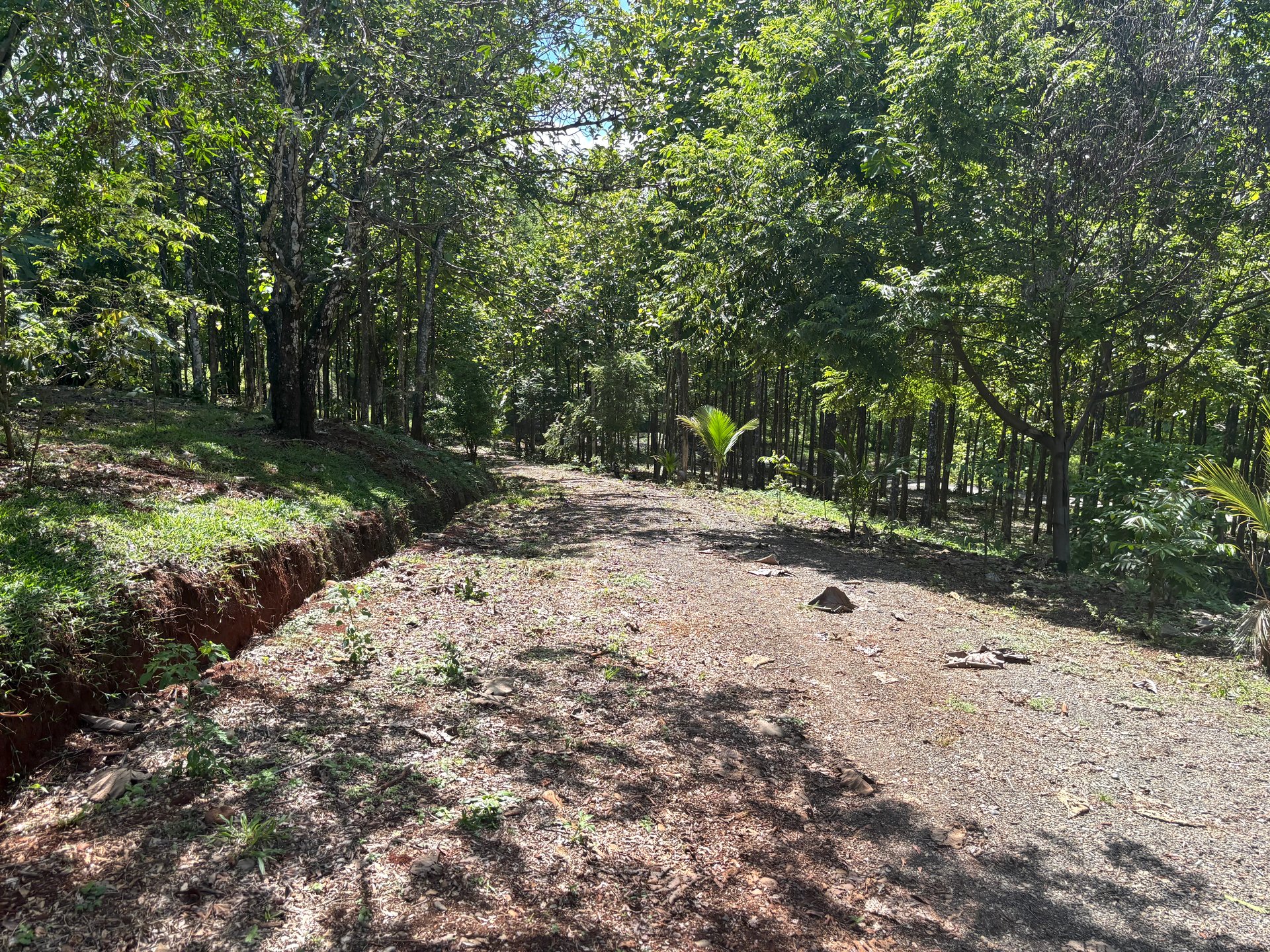 7-Hectare Farm with Teak Plantation, Existing Home & Eco-Development Potential Near Parrita, Costa Rica