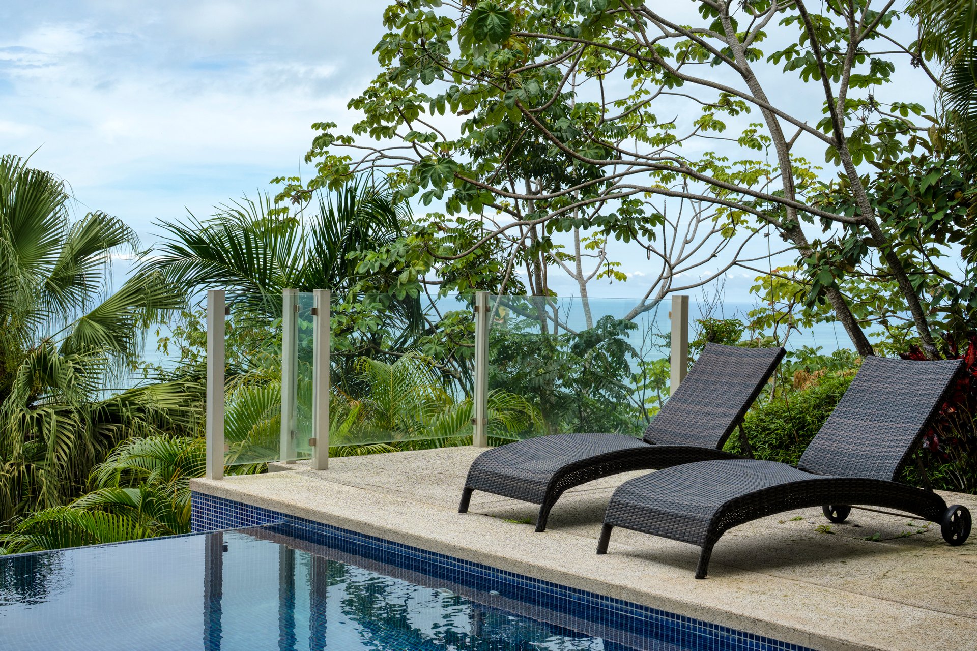A Modern Jungle Haven with Panoramic Whales Tail Views