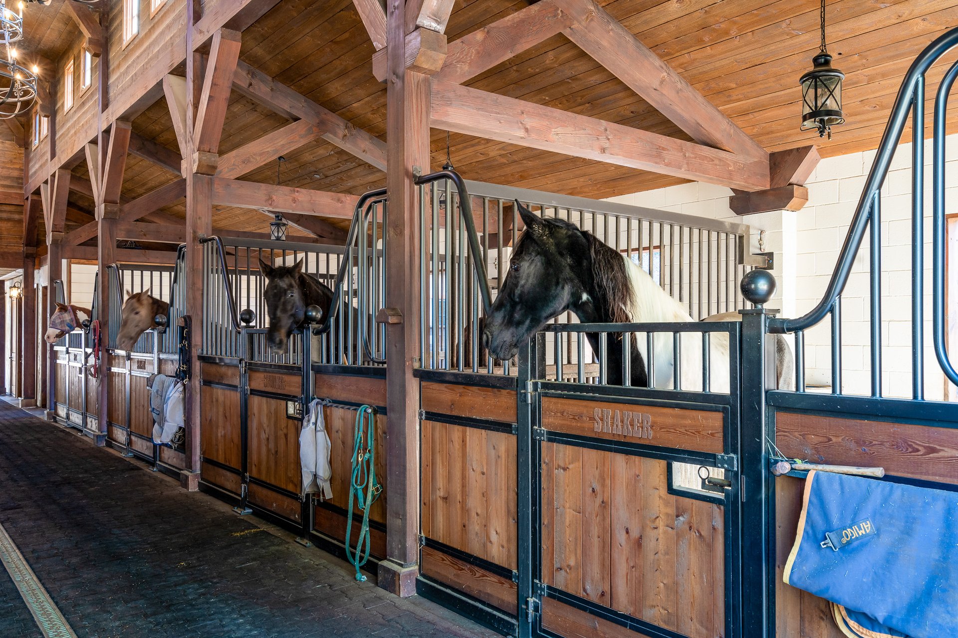 Paradiso in The Ranch
