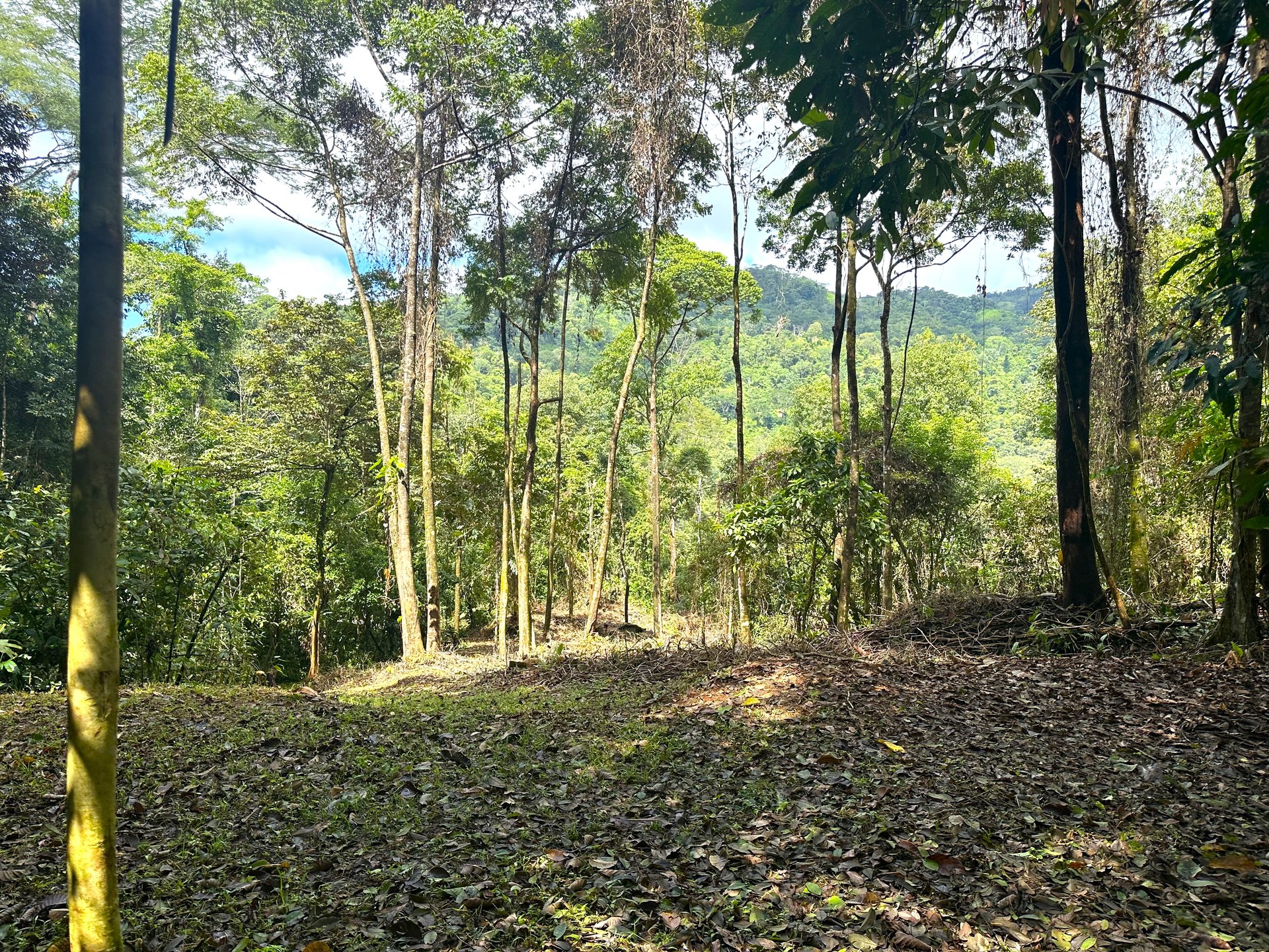 Mountain View Building Lot in Prestigious Gated Community With Private Waterfall & Two Building Sites