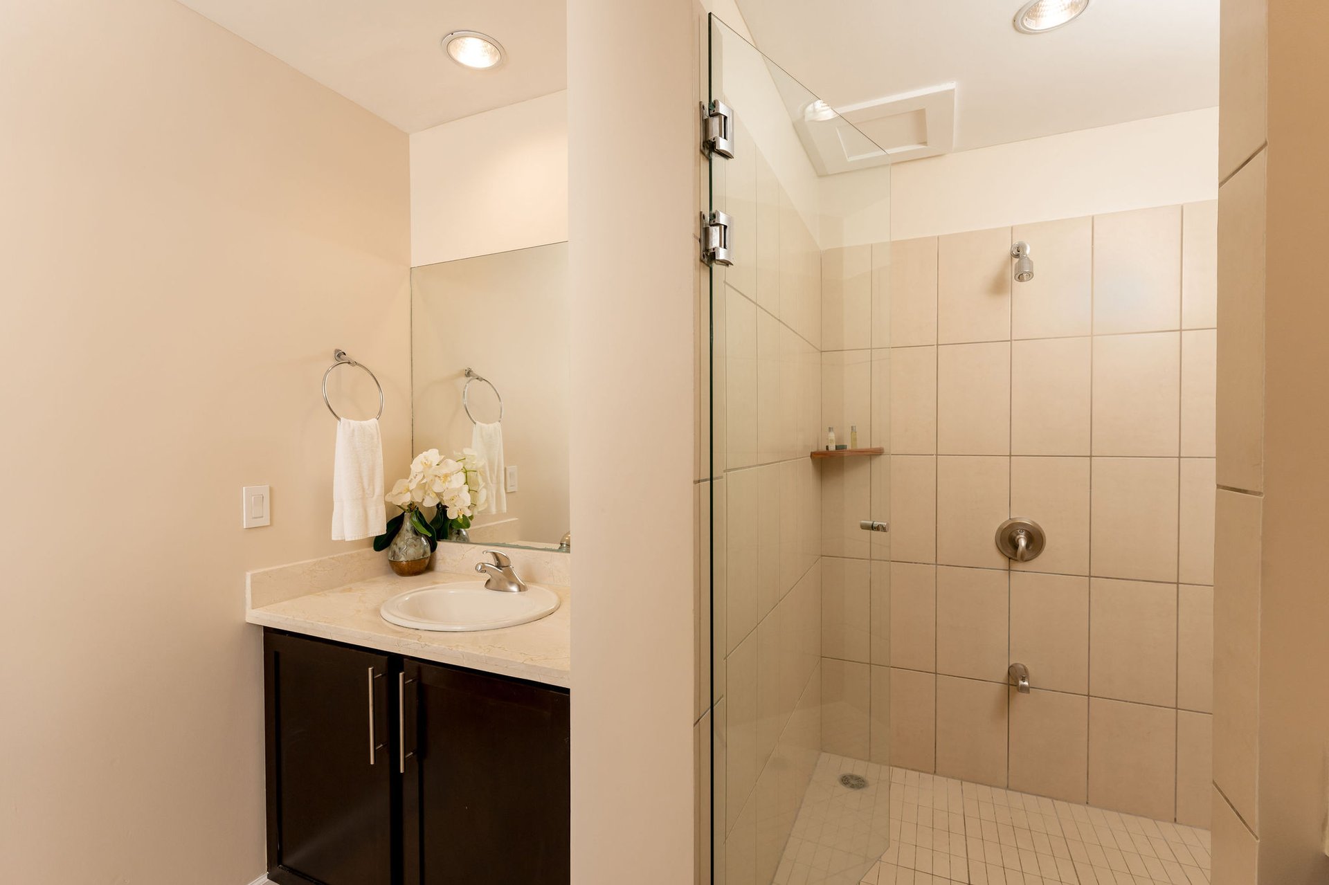 Pacifico L914, 2-Bed Condo, Playas del Coco