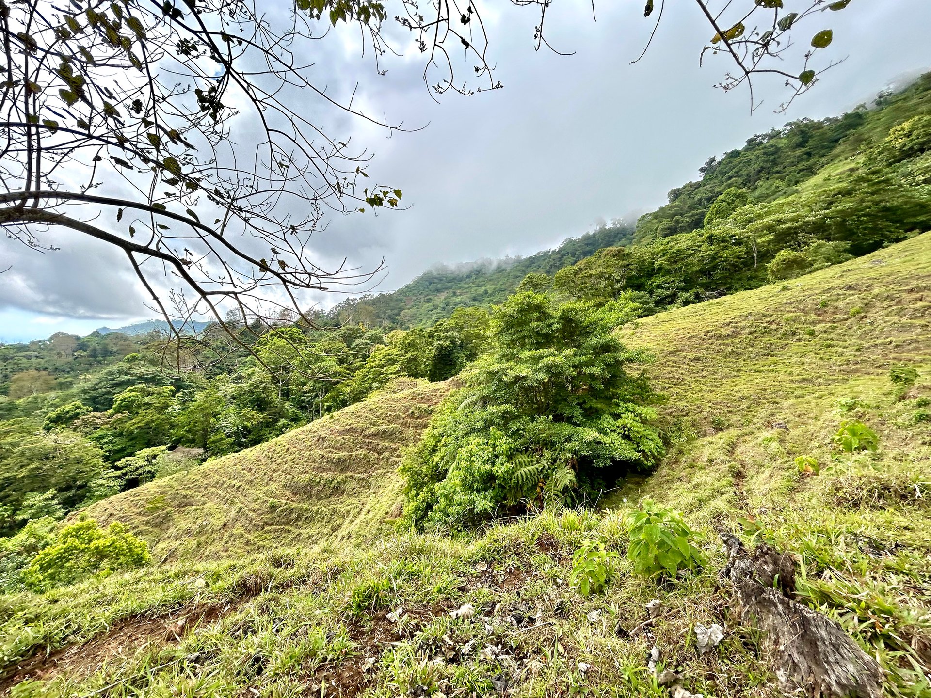 Gorgeous Land in San Luis Morete - Uvita - Over 17 Acres