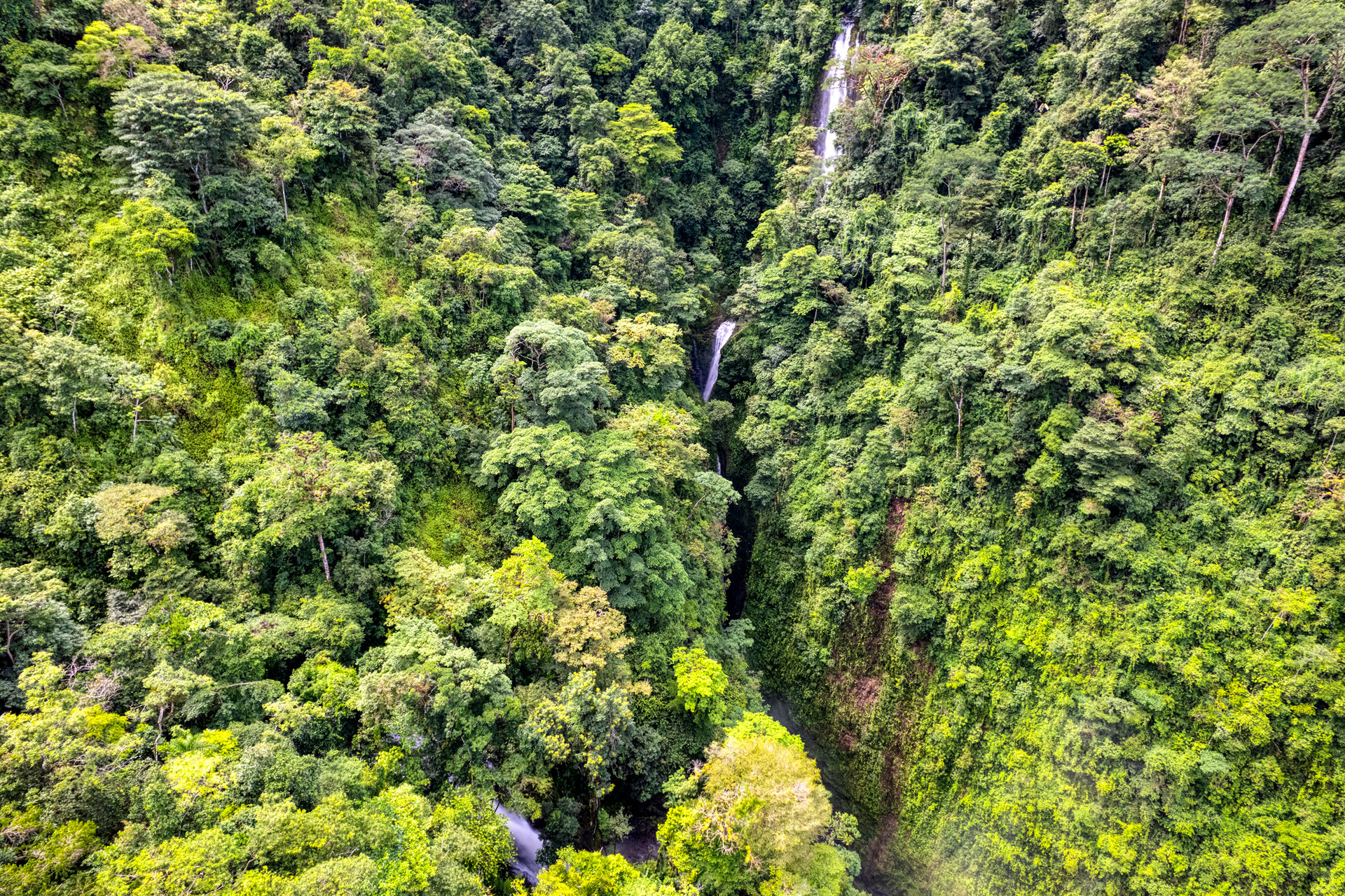 Once in a Lifetime Waterfall Farm in a Pristine Biological Corridor